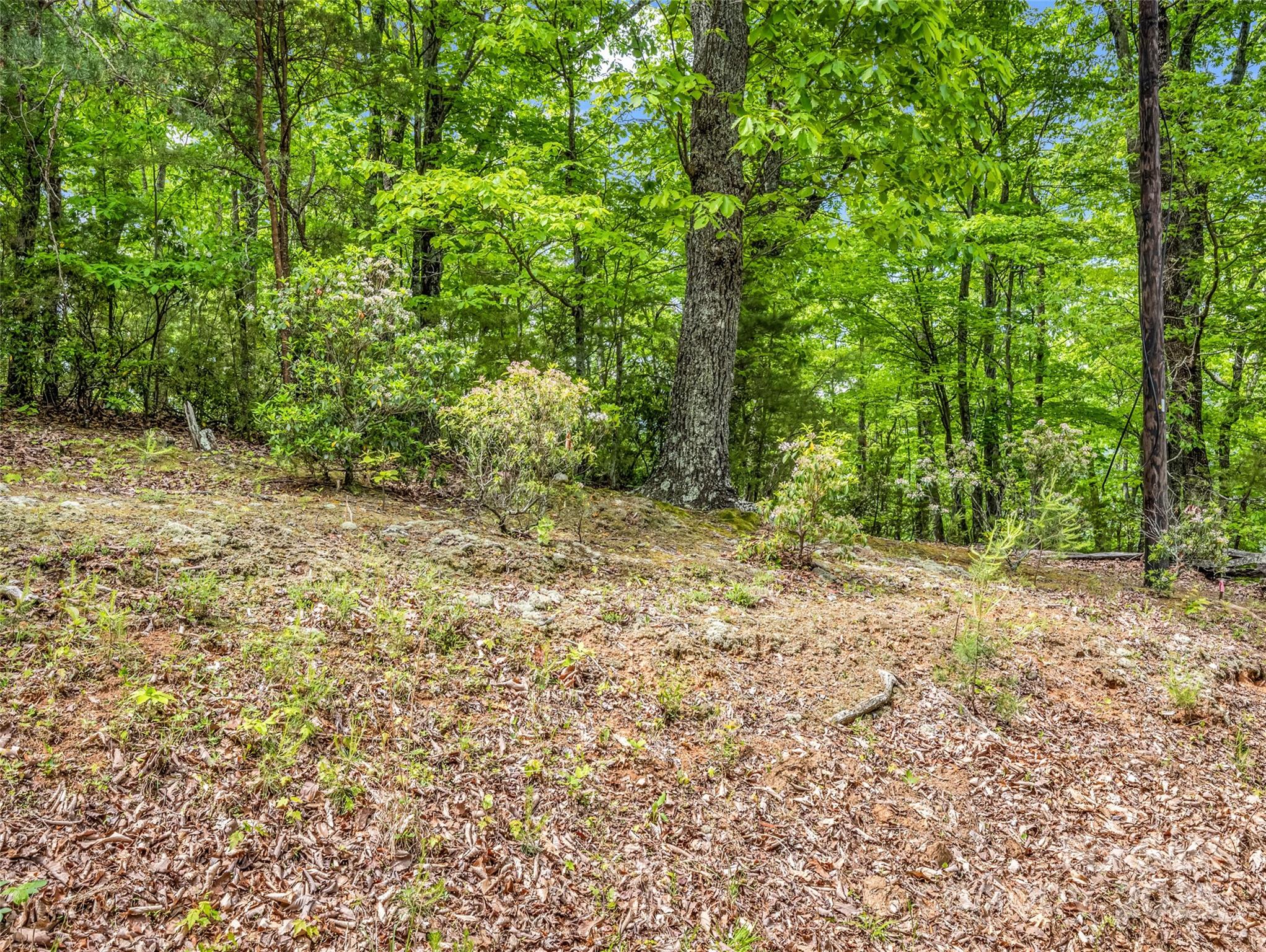 0 Kens Rock Road 20 Property Photo 26