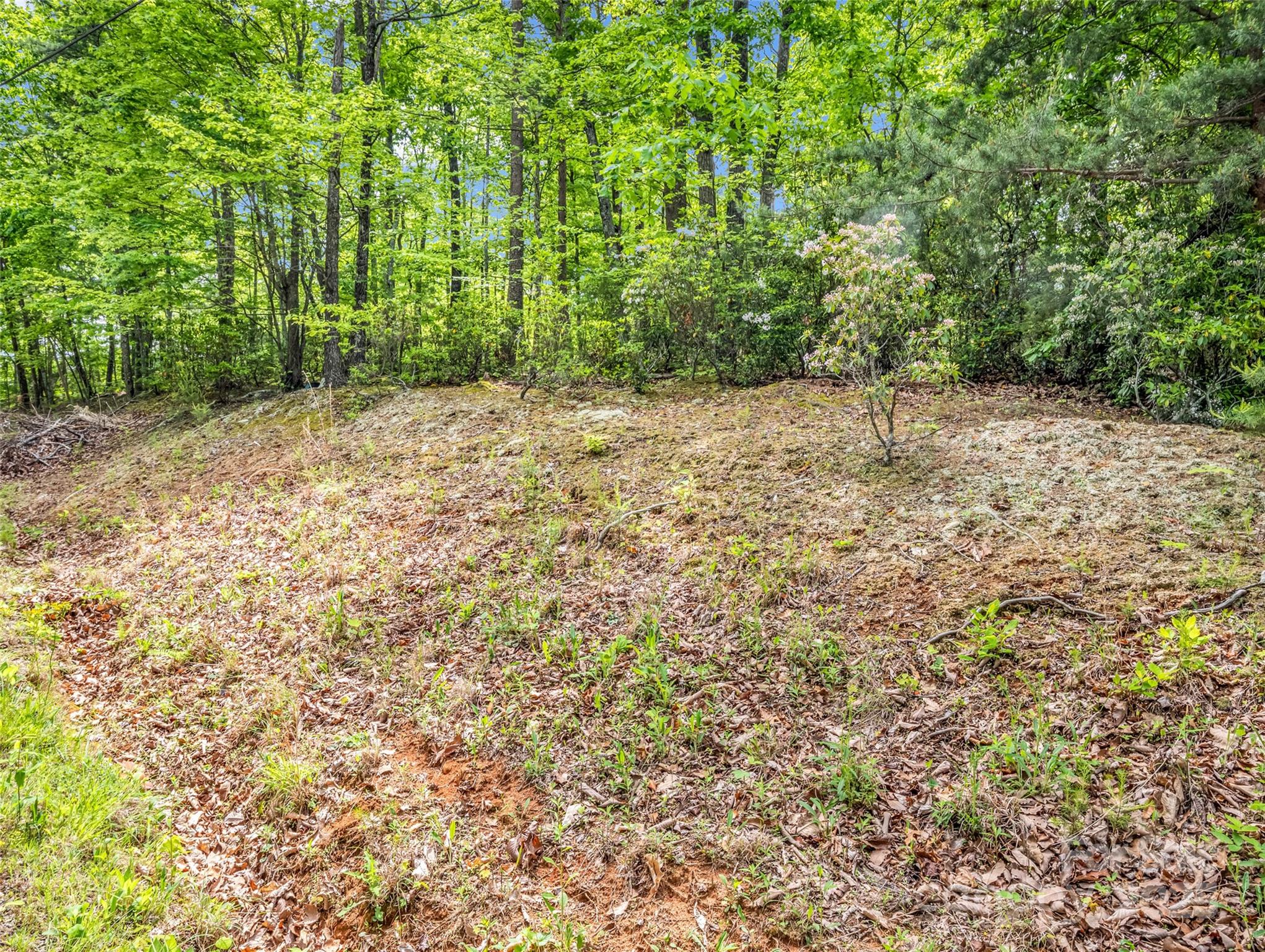 0 Kens Rock Road 20 Property Photo 27