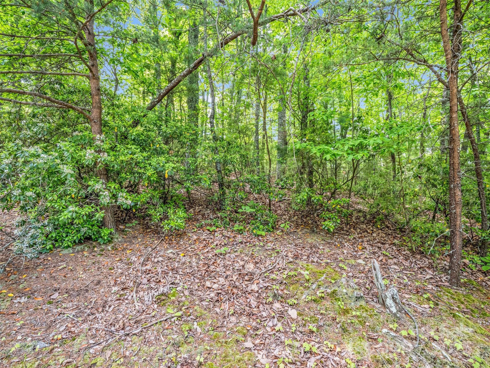 0 Kens Rock Road 20 Property Photo 28