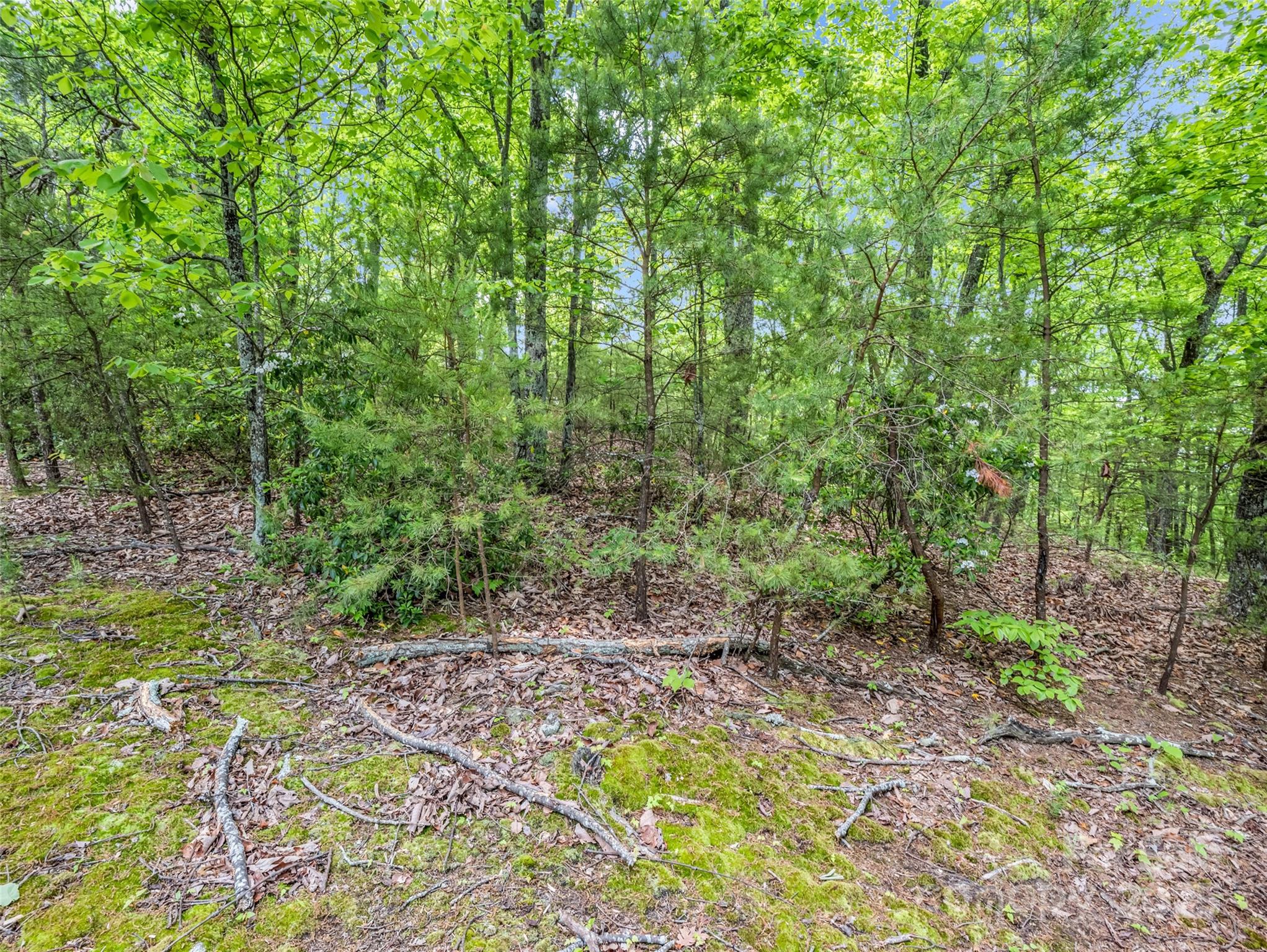 0 Kens Rock Road 20 Property Photo 30