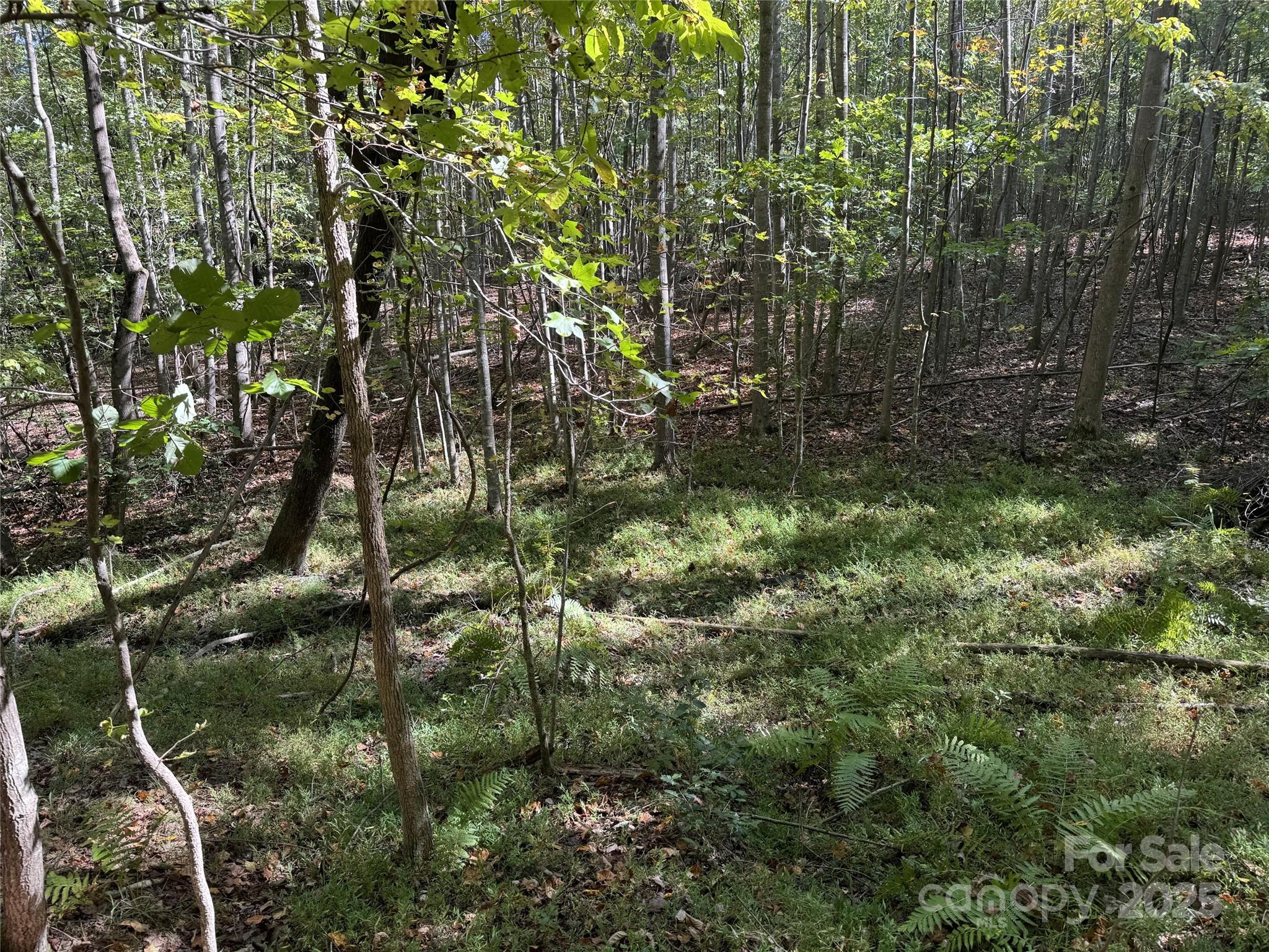 00 Biscoe Road Property Photo 11