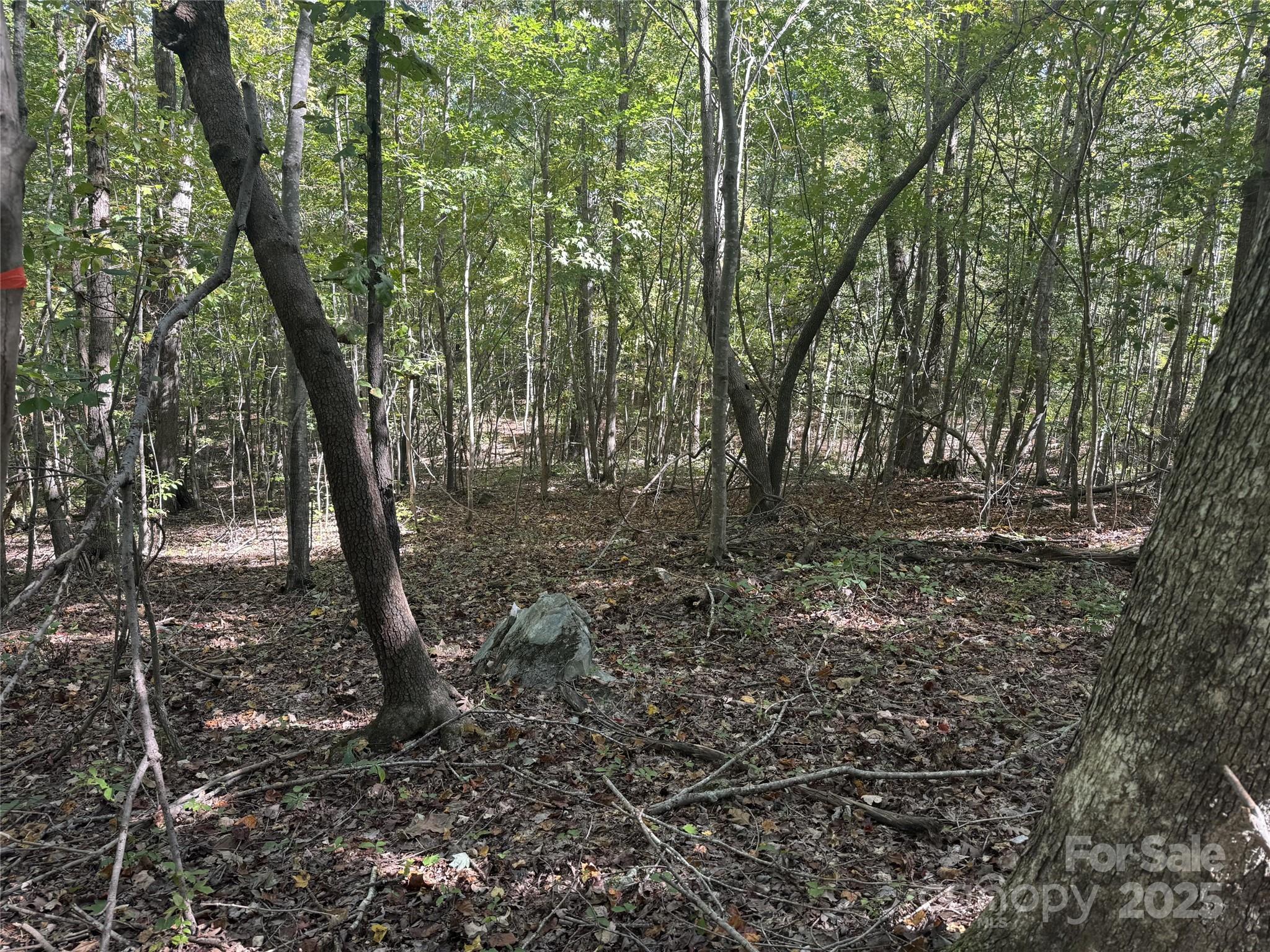 00 Biscoe Road Property Photo 13