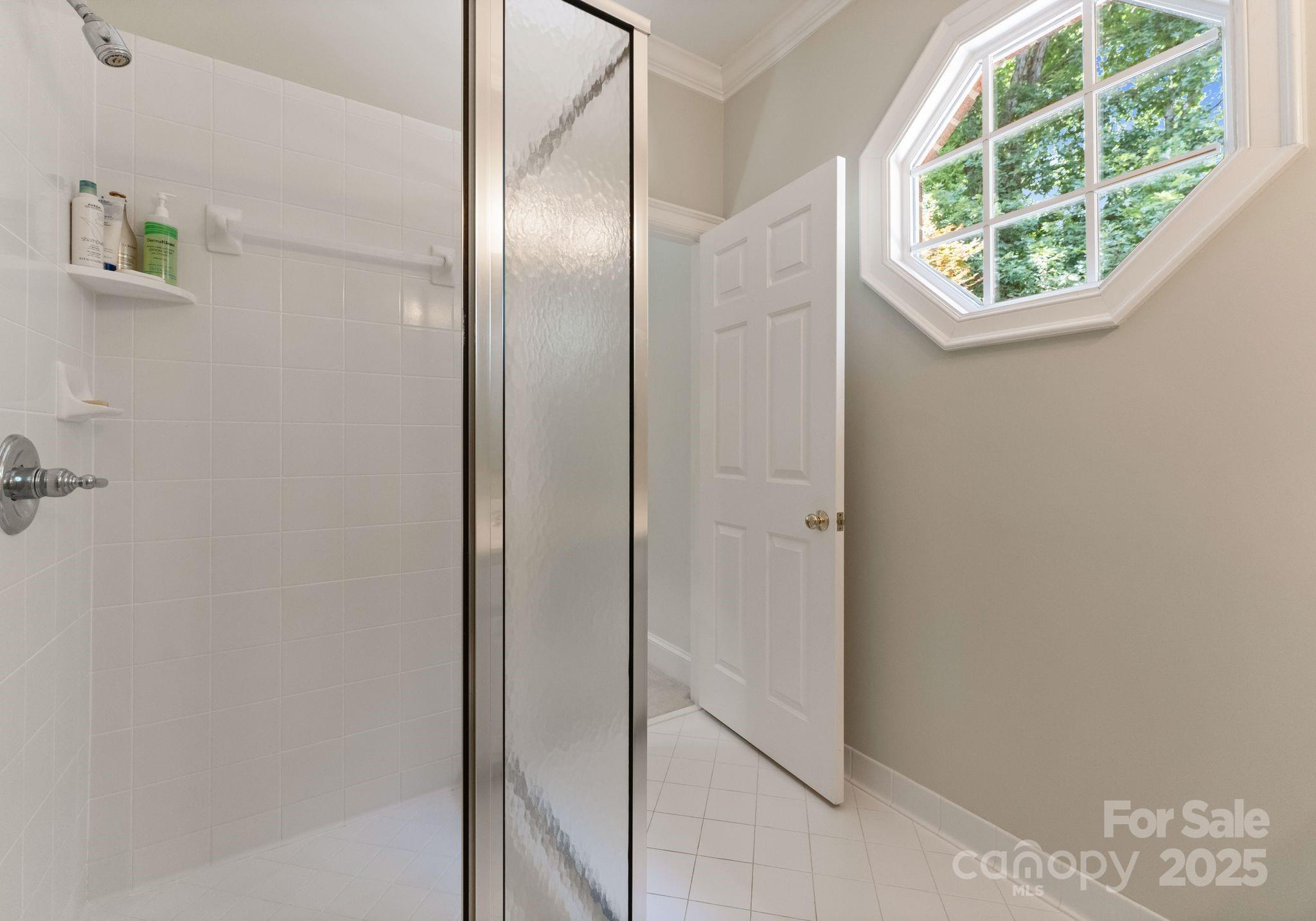 4301 Fairview Oaks Drive Property Photo 33