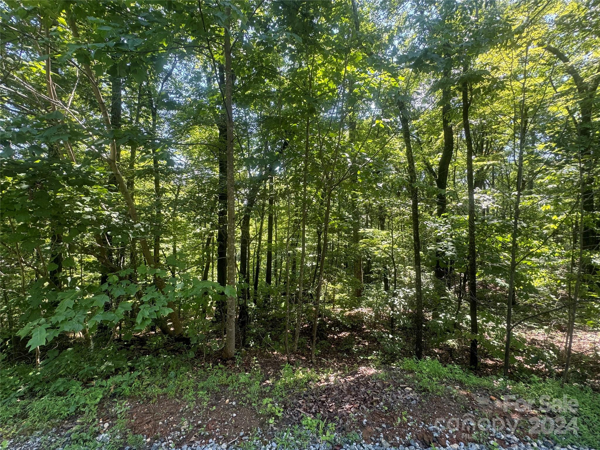 177 Peartree Drive Property Photo 3