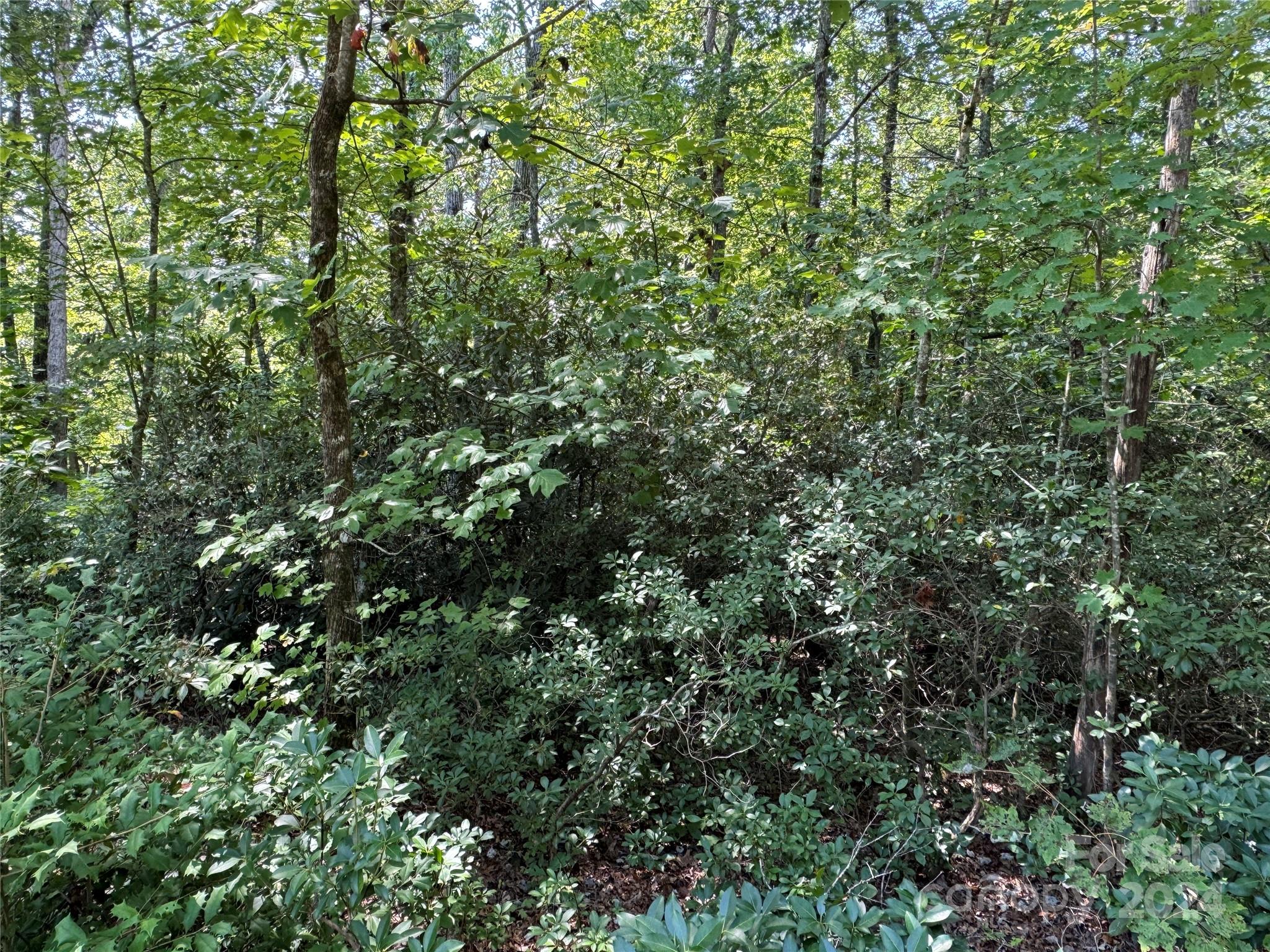 63 Cherry Cove Lane 3 Property Photo 12