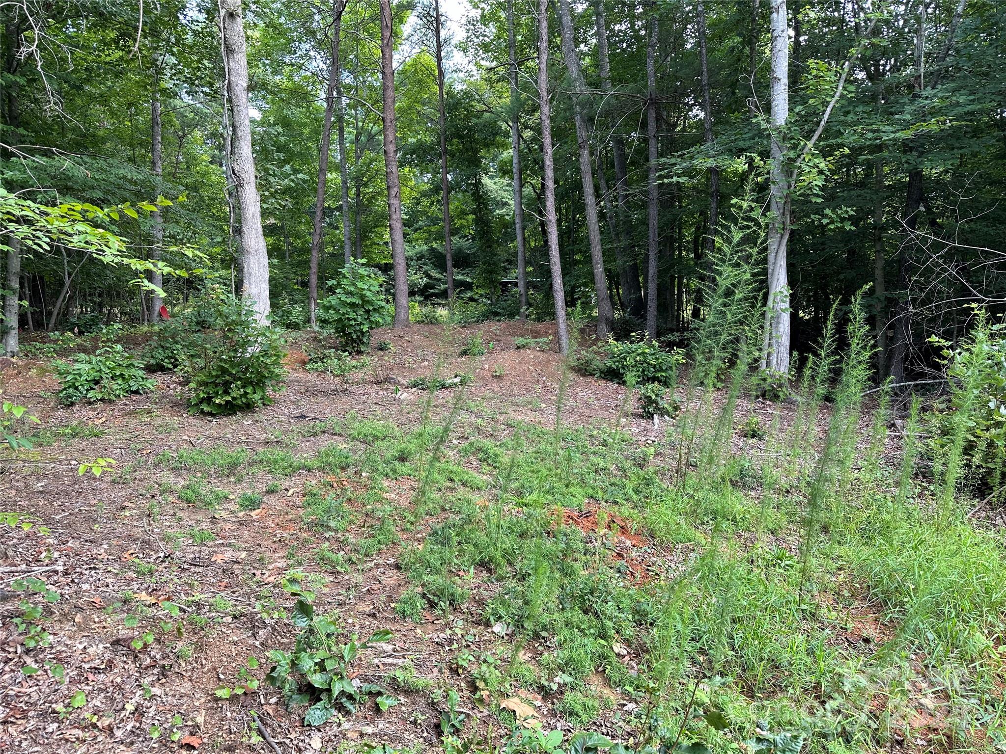 00 River Rd Liberty Grove Church Road Property Photo 2