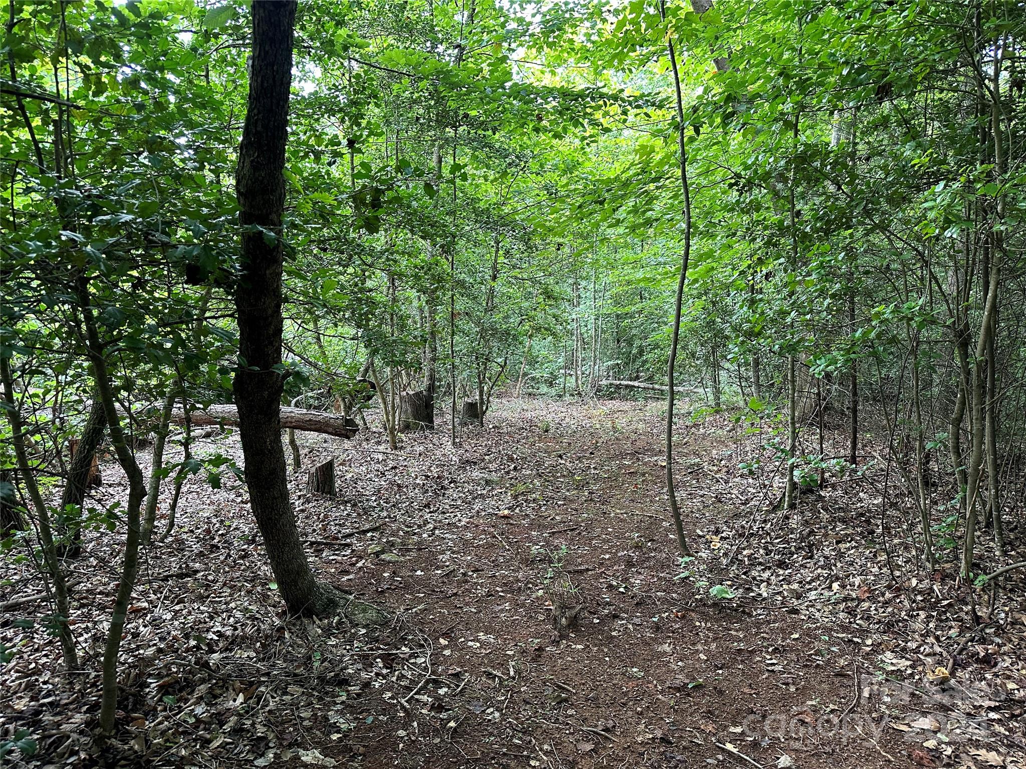 00 River Rd Liberty Grove Church Road Property Photo 4