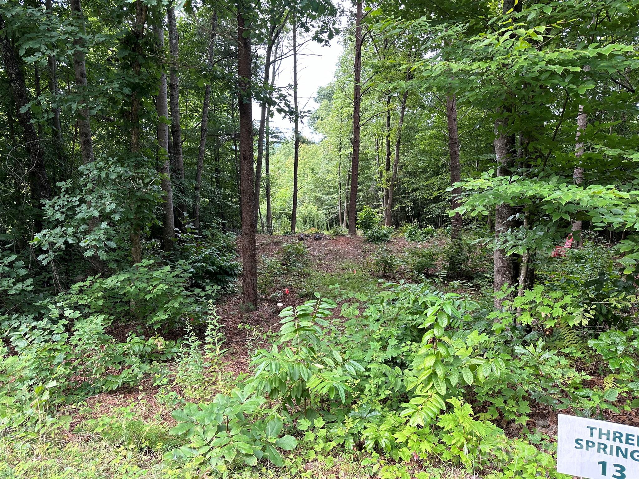 00 River Rd Liberty Grove Church Road Property Photo 6