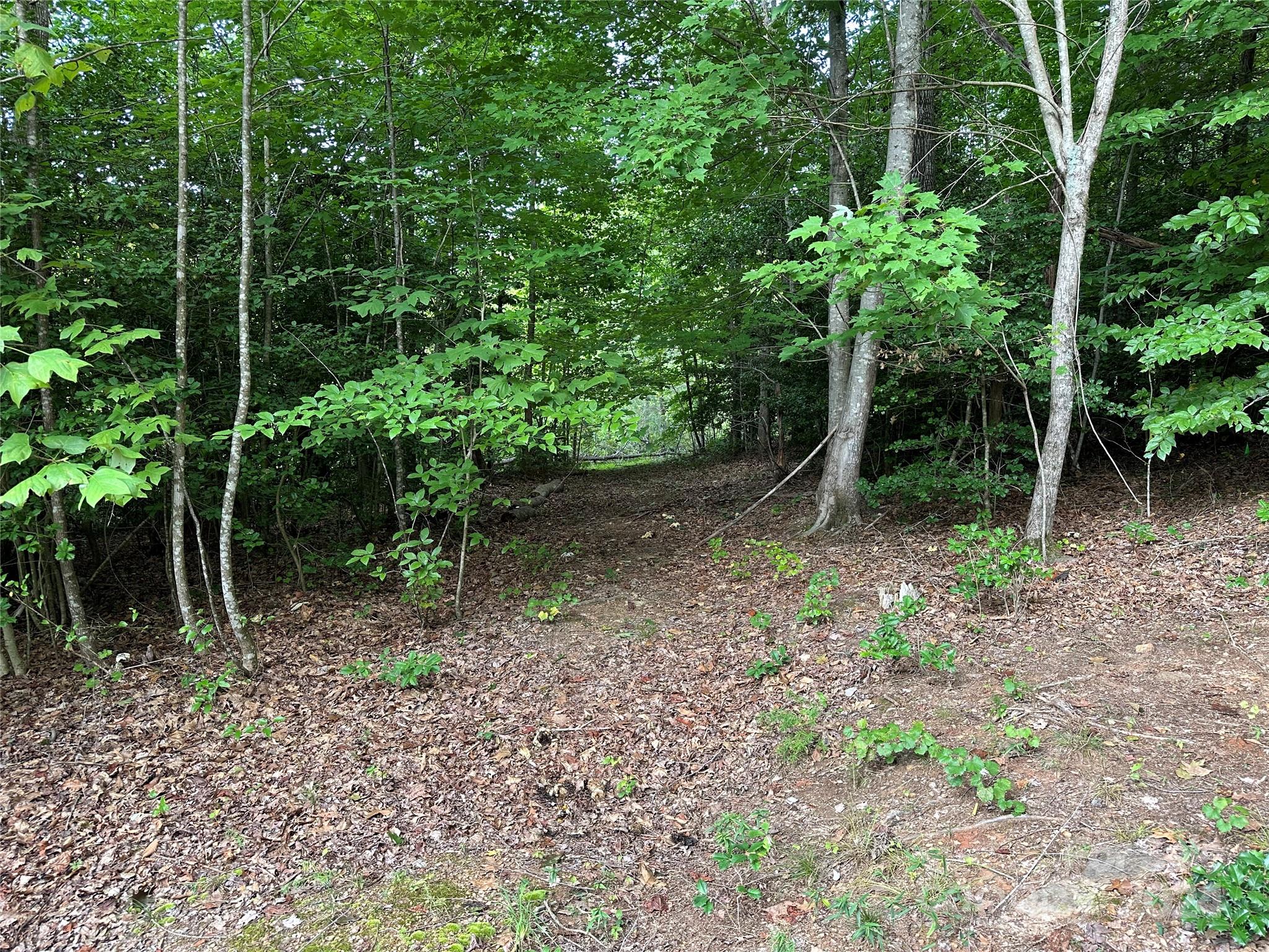 00 River Rd Liberty Grove Church Road Property Photo 8