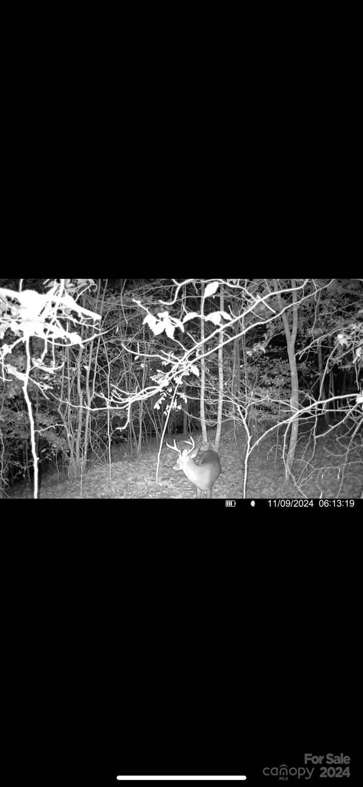00 River Rd Liberty Grove Church Road Property Photo 16
