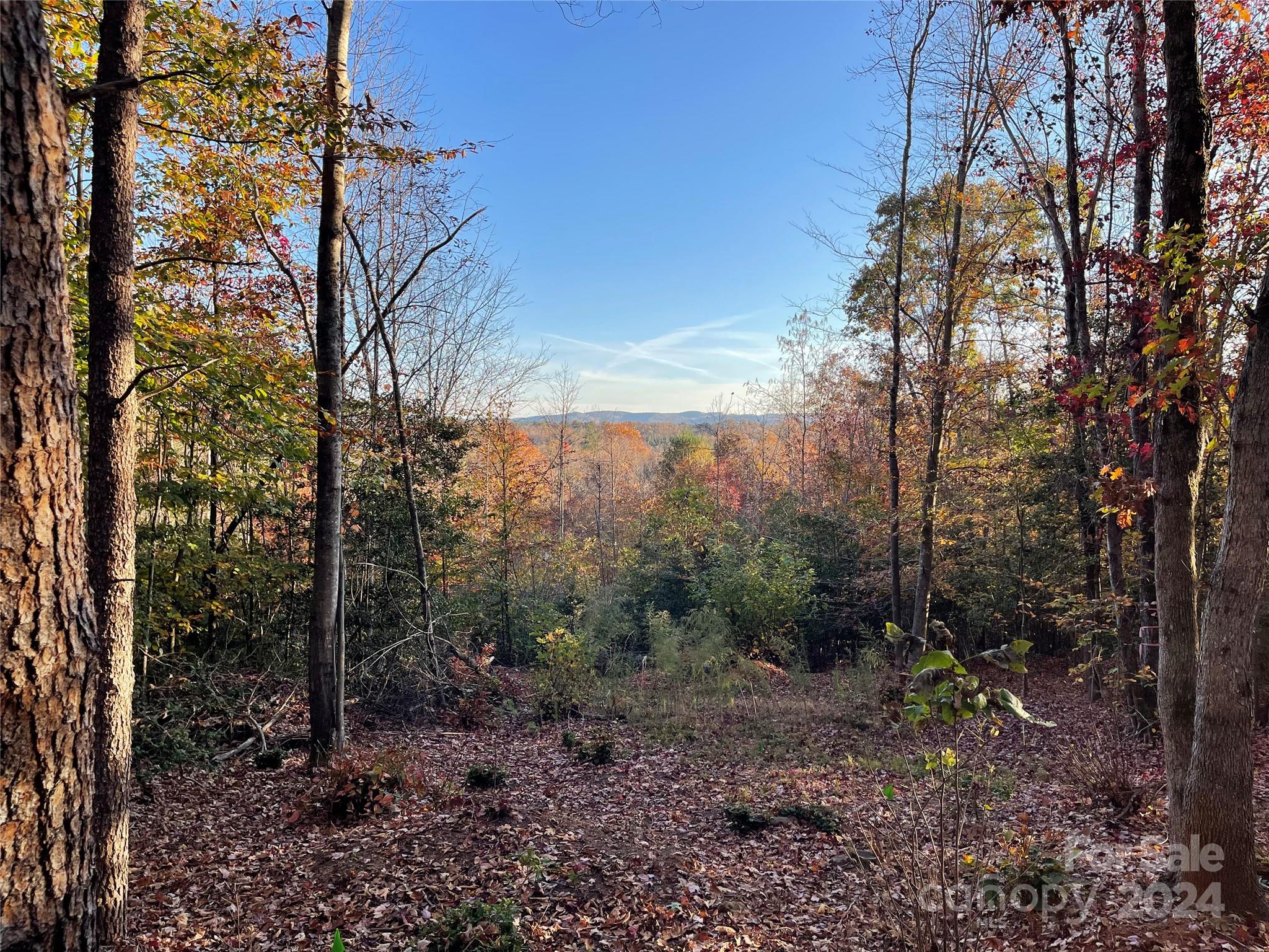00 River Rd Liberty Grove Church Road Property Photo 17