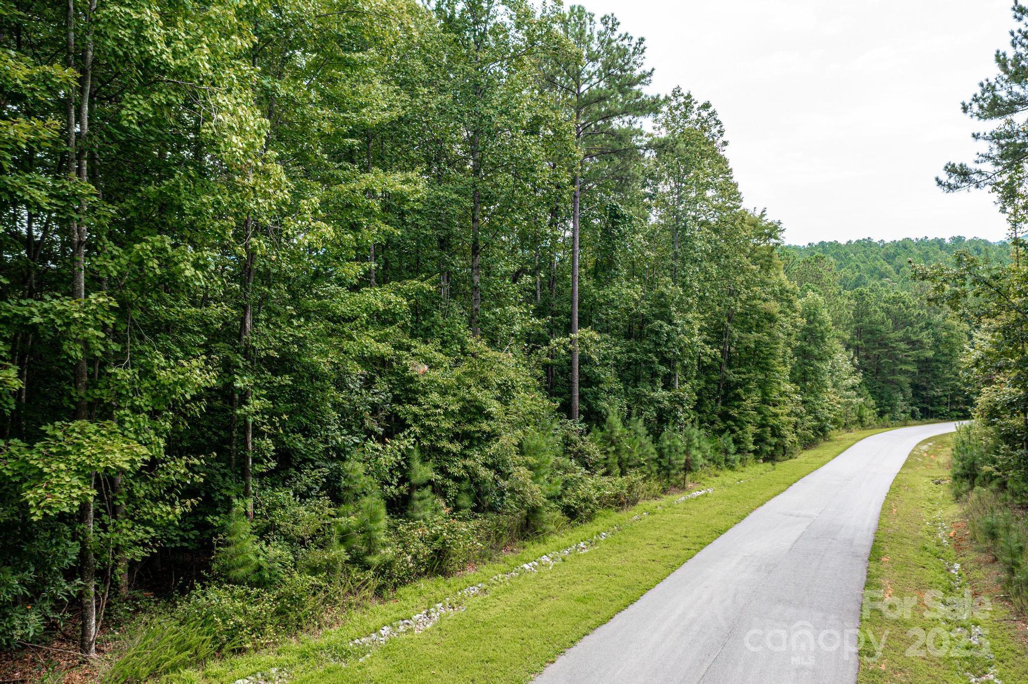 478 Lakeside Trail Property Photo 3