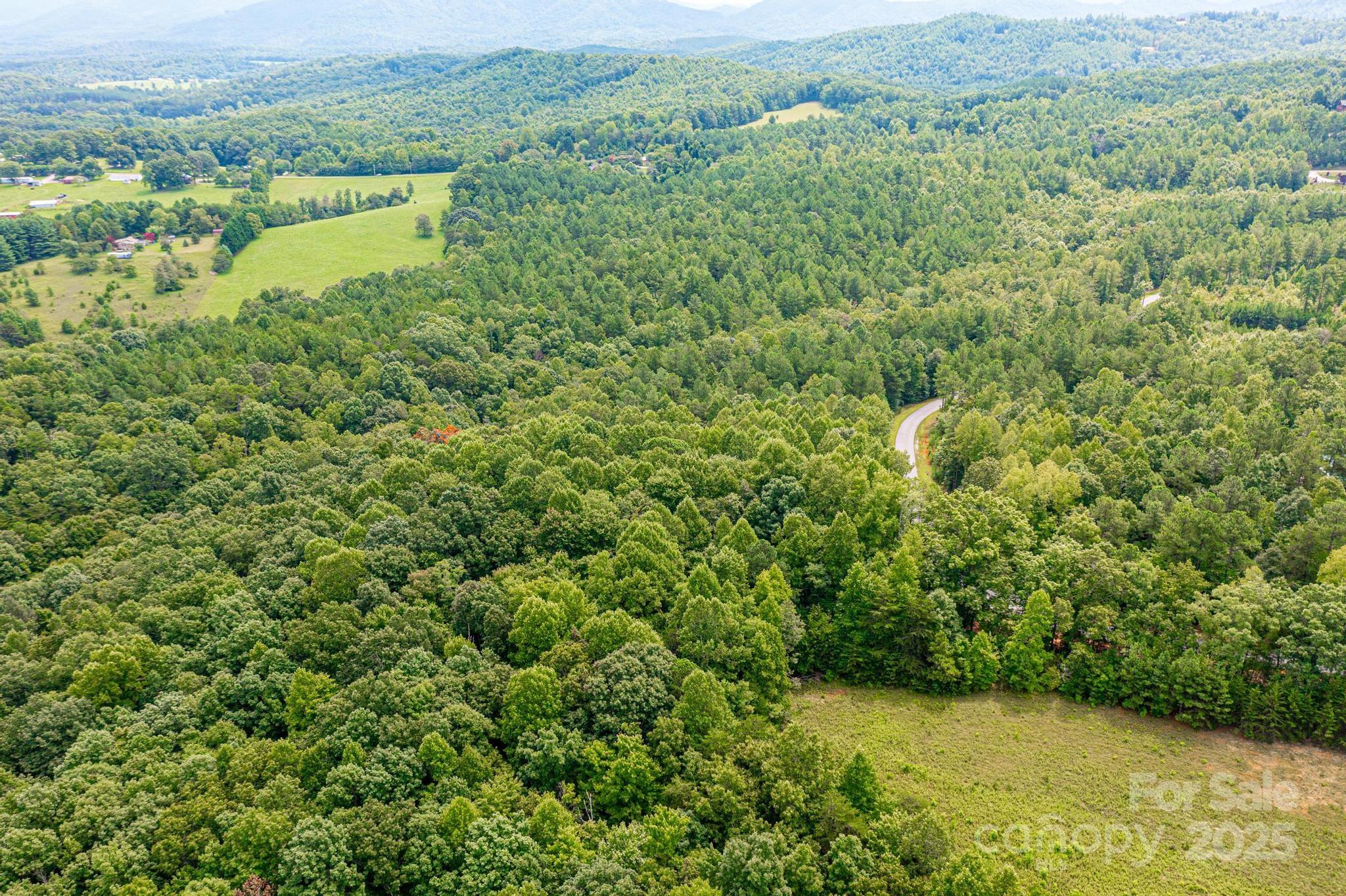 478 Lakeside Trail Property Photo 12