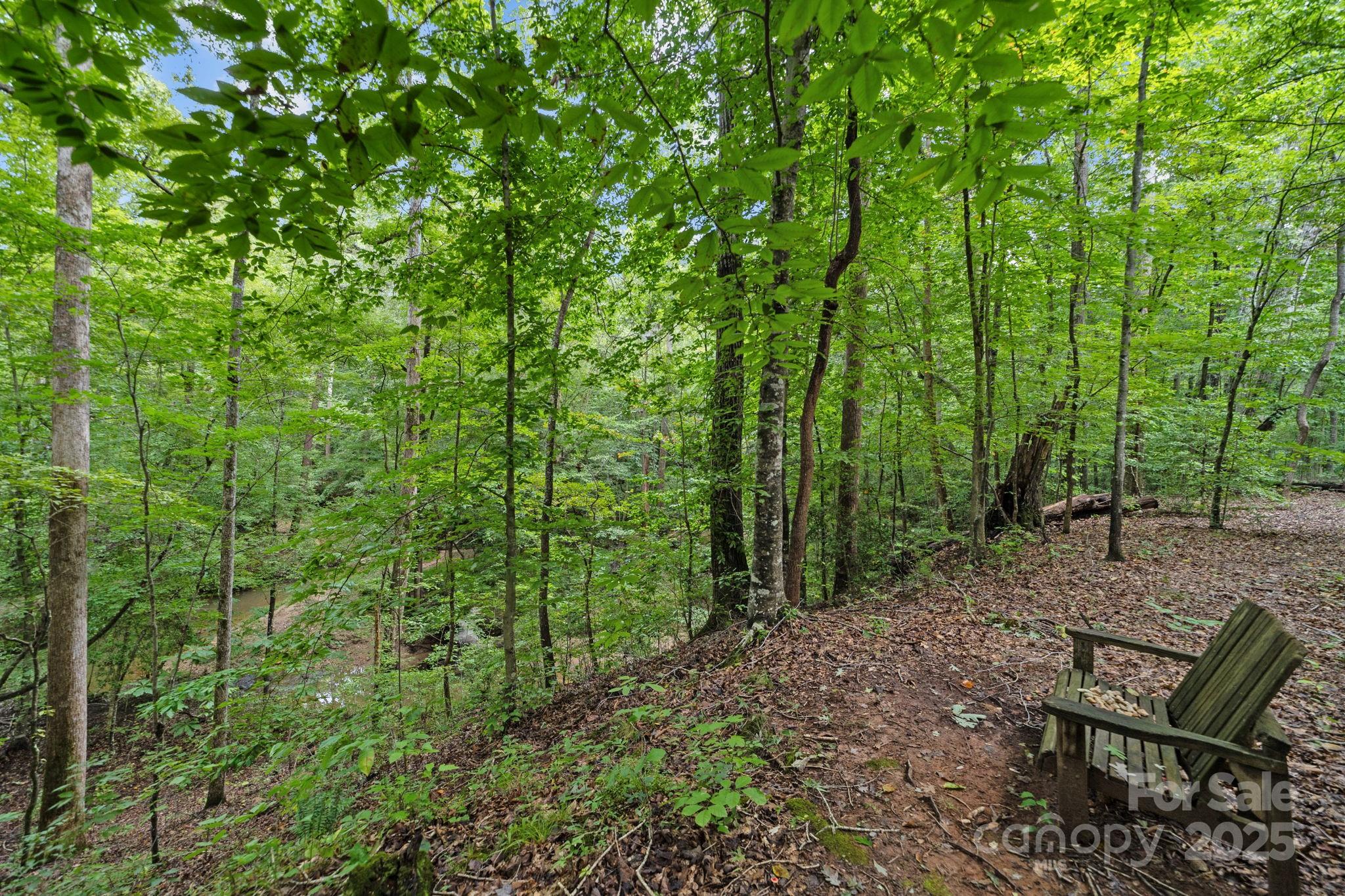 4364 Hager Mountain Lane 7 Property Photo 41