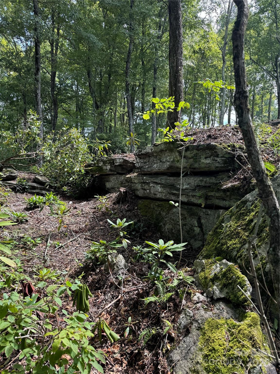 0000 West Garden Trail Lot 63 Property Photo 7