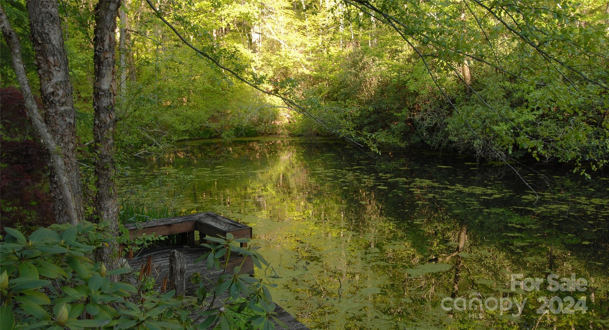 102 Dug Hill Road Property Photo 30