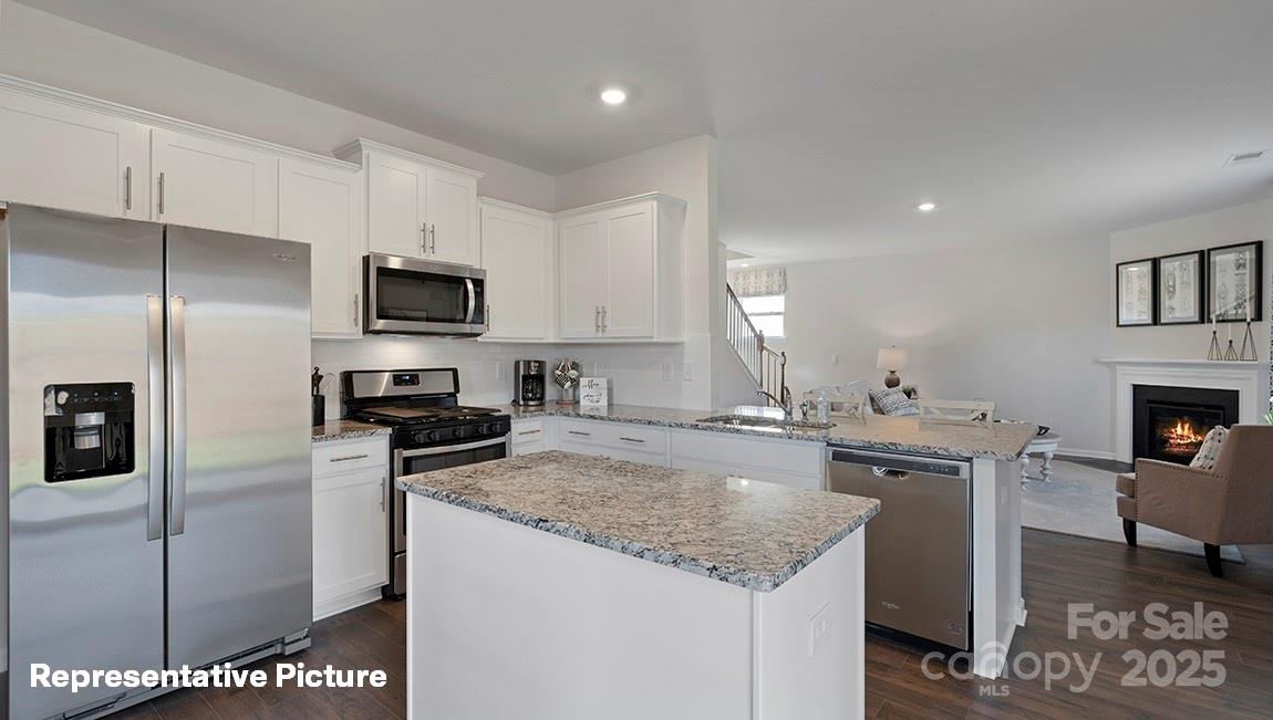 210 Giant Oak Avenue Property Photo 4