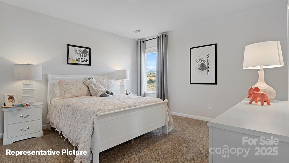 210 Giant Oak Avenue Property Photo 22