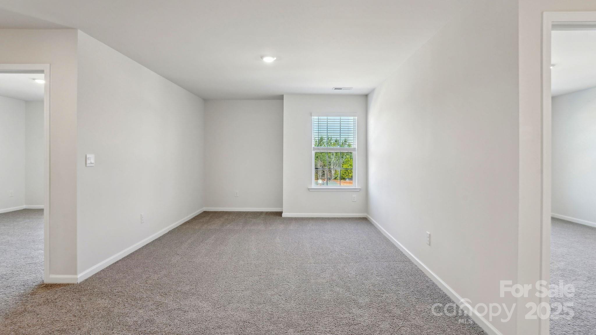 210 Giant Oak Avenue Property Photo 47