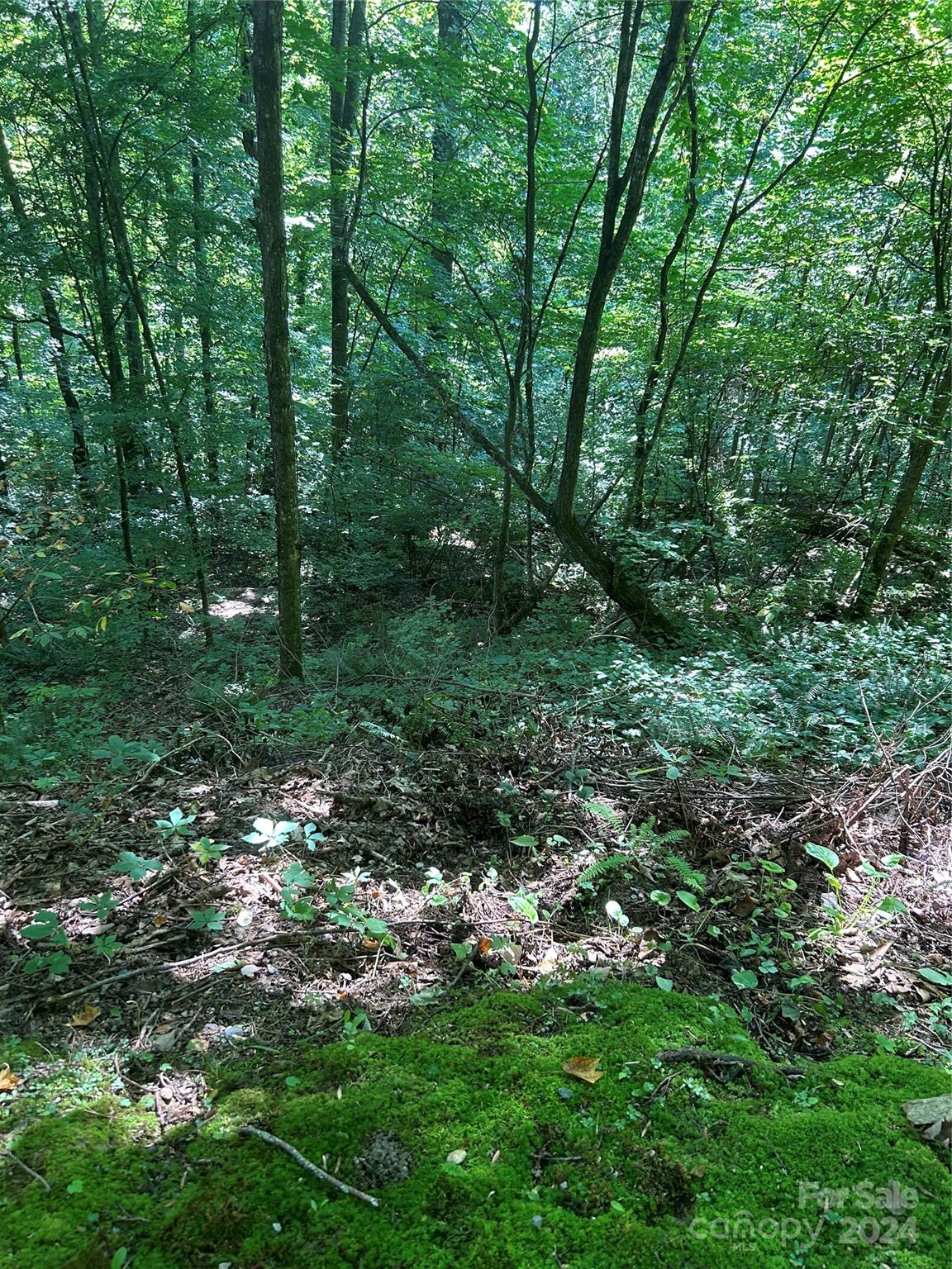 0000 Brigham Drive Property Photo 8