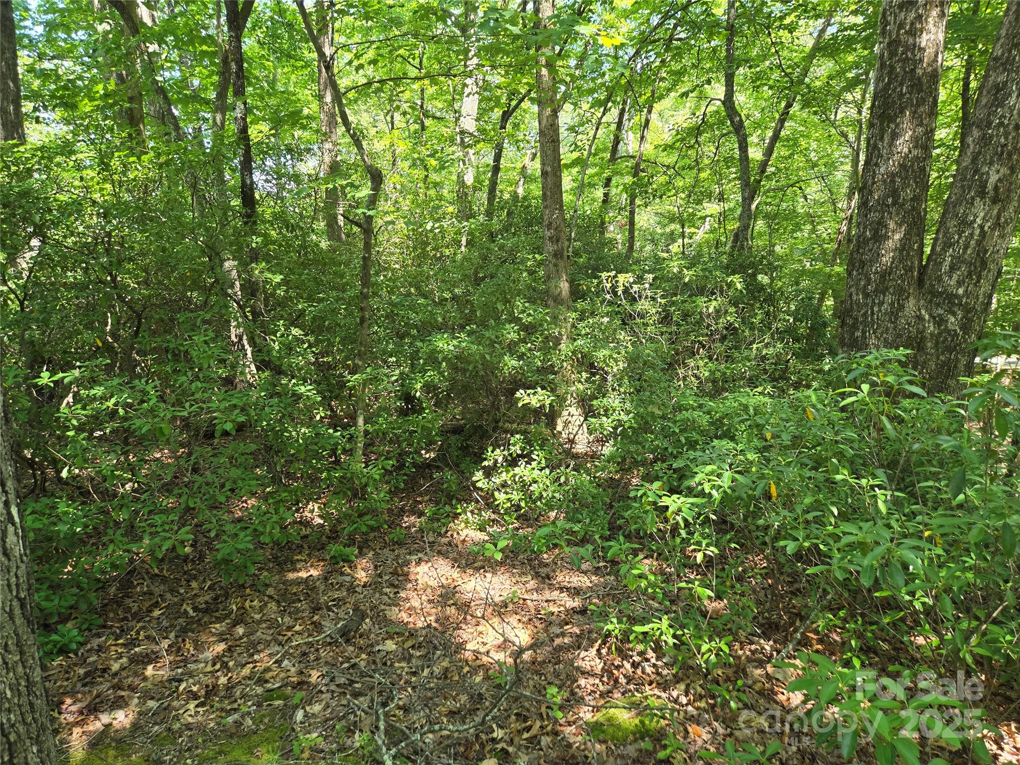 Lot 201 Little Creek Road Property Photo