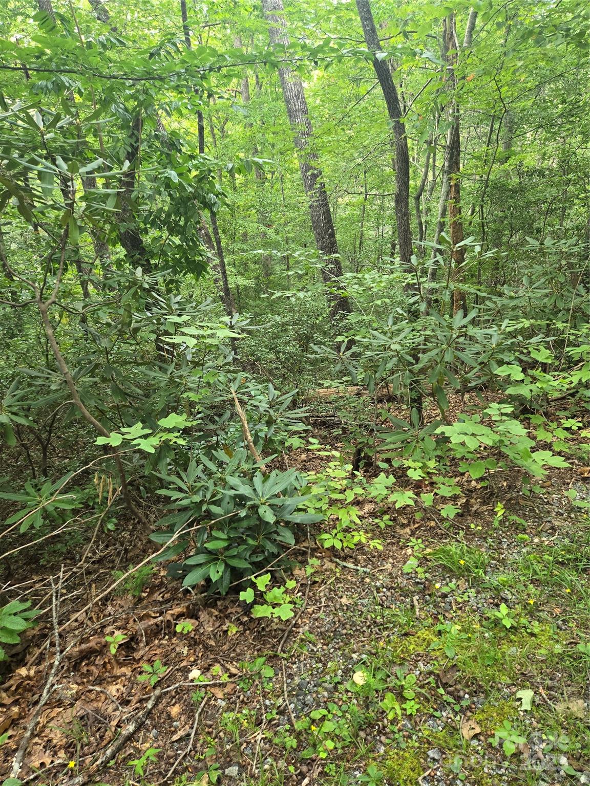 Lot 201 Little Creek Road Property Photo 2