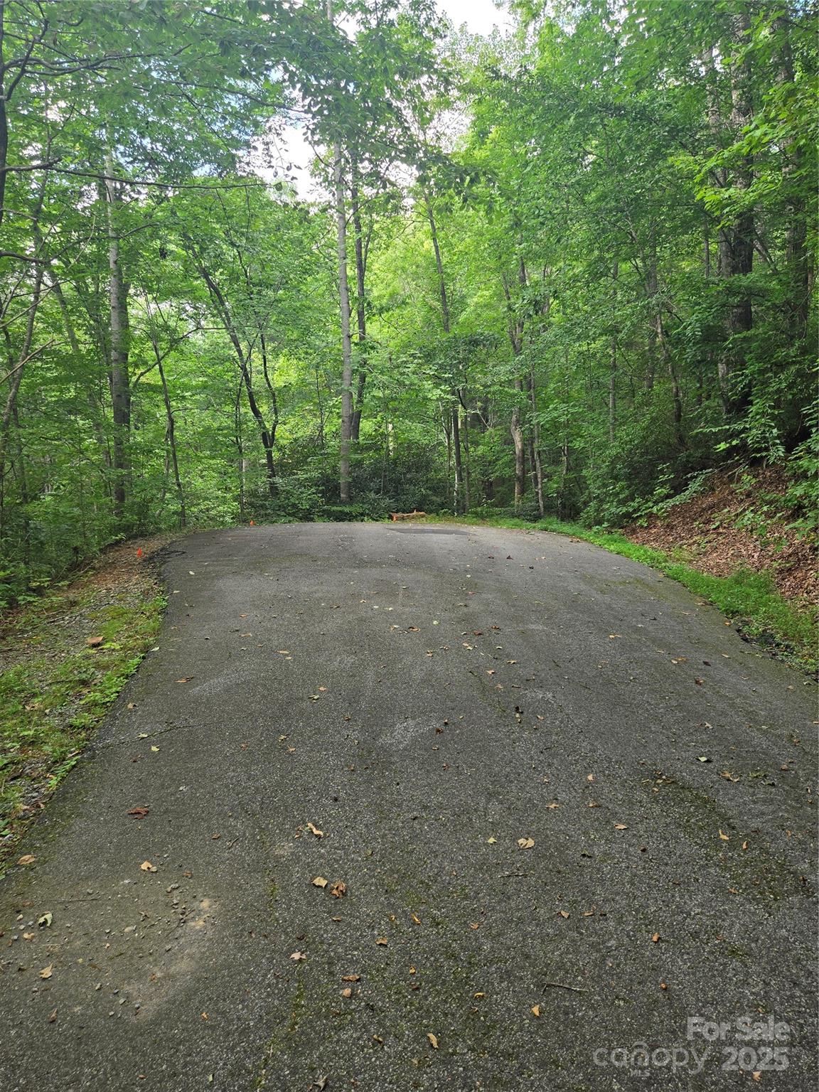 Lot 201 Little Creek Road Property Photo 3