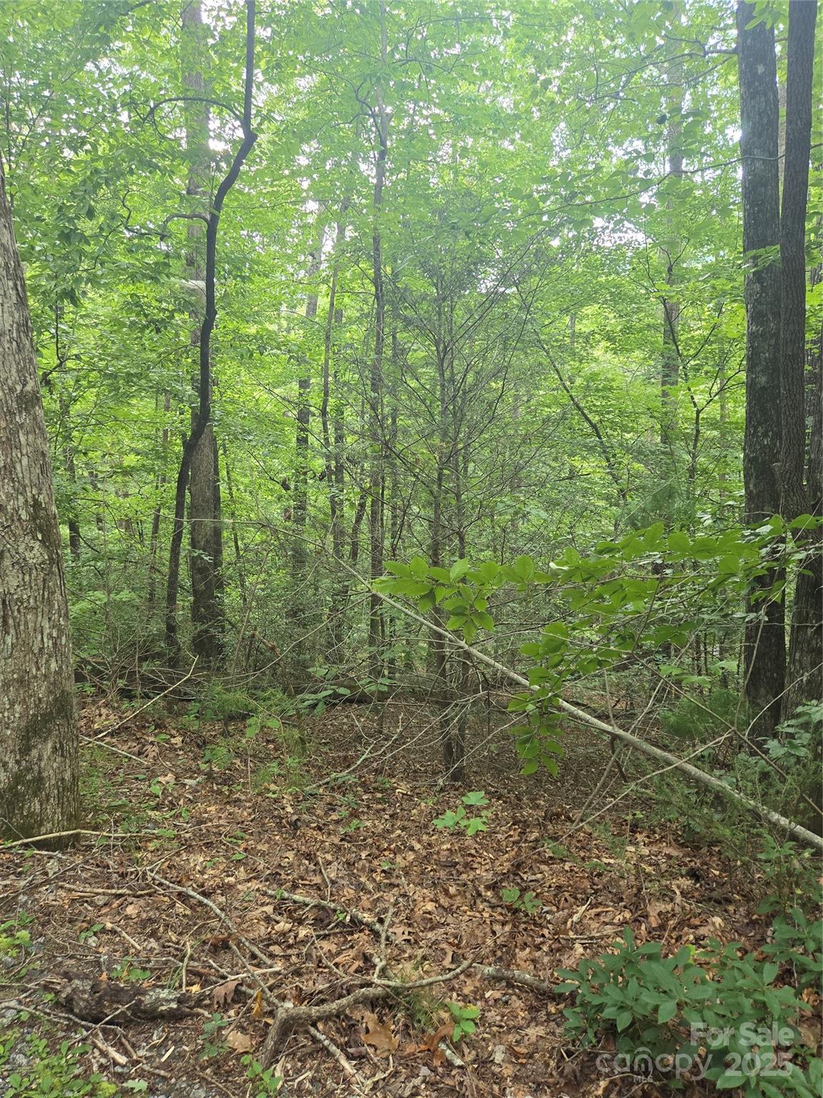 Lot 201 Little Creek Road Property Photo 4