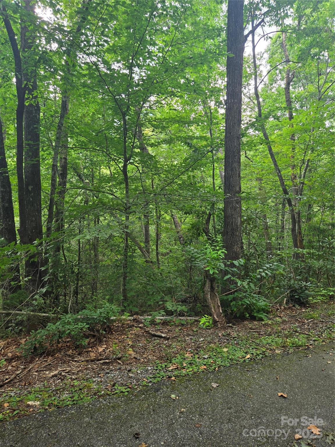 Lot 201 Little Creek Road Property Photo 5