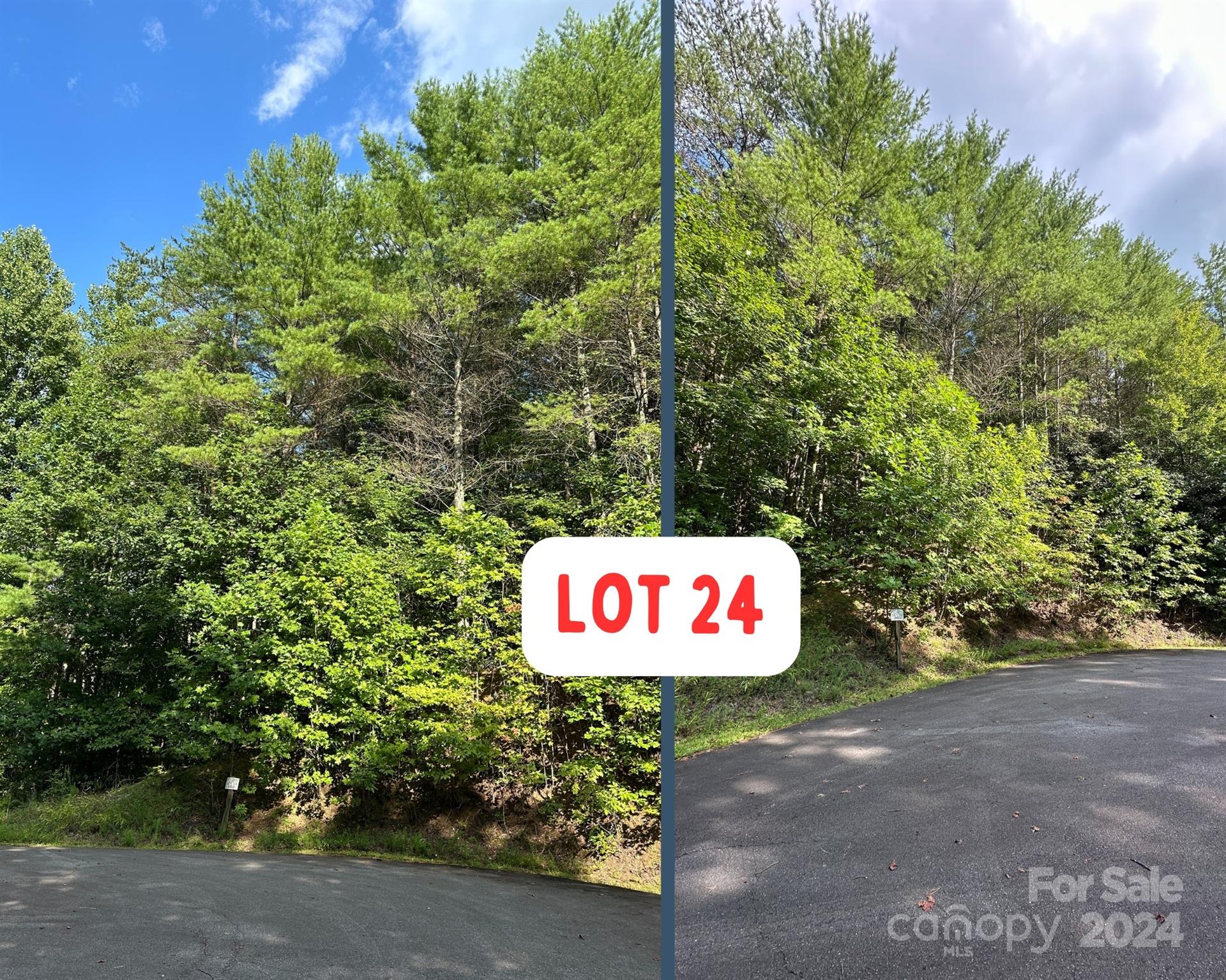 0 Narrow Gauge Drive 24 Property Photo 4