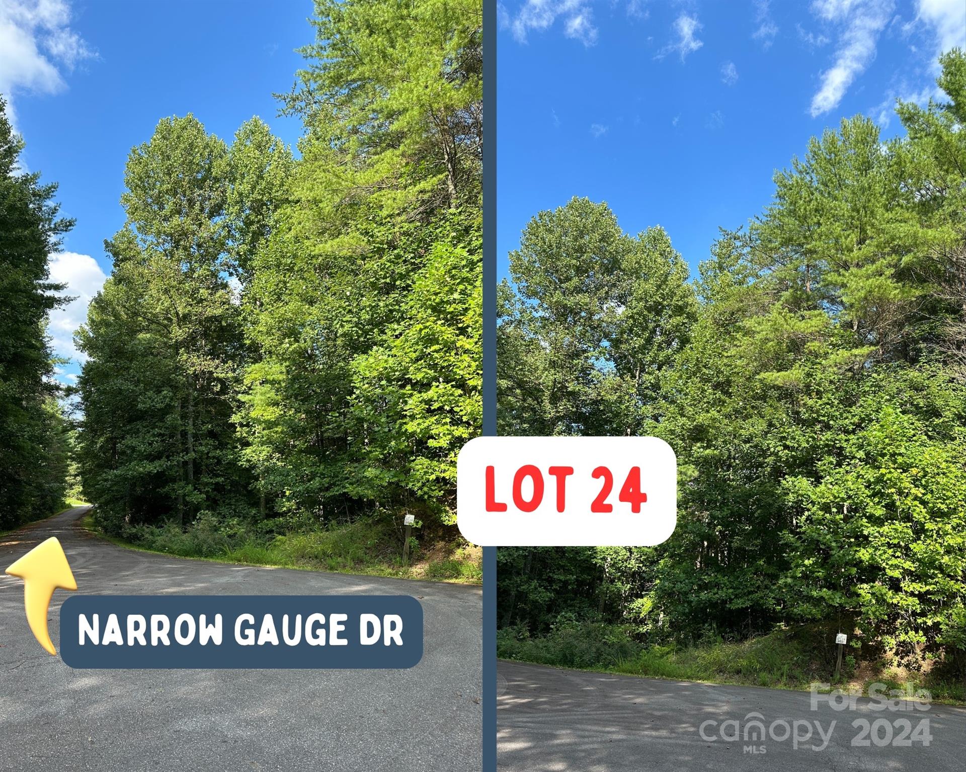 0 Narrow Gauge Drive 24 Property Photo 5