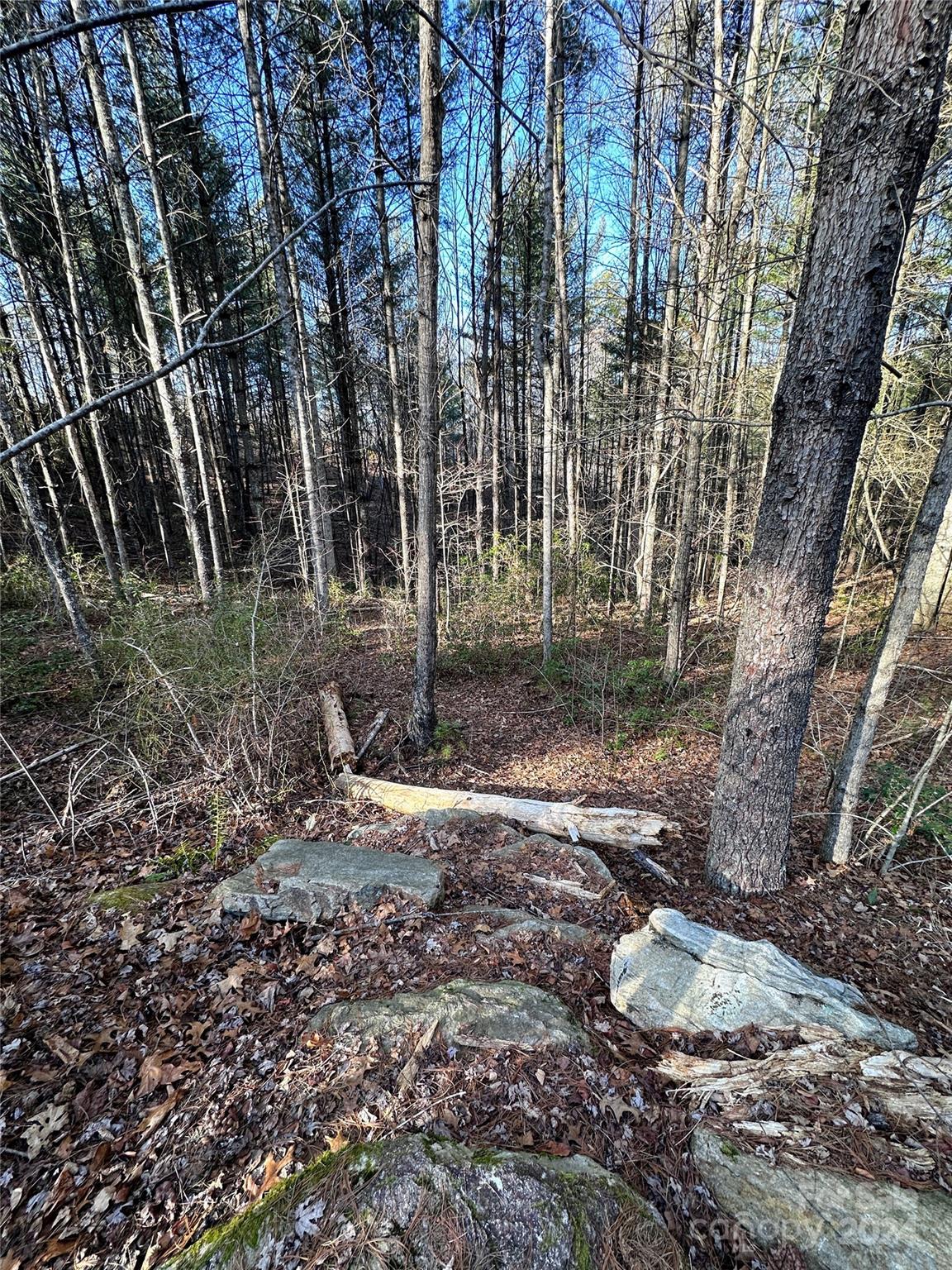 0 Narrow Gauge Drive 24 Property Photo 12