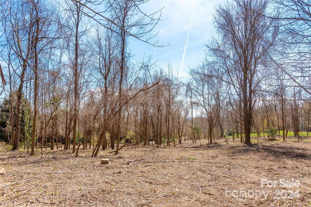 000 Berry Creek Drive Property Photo 4