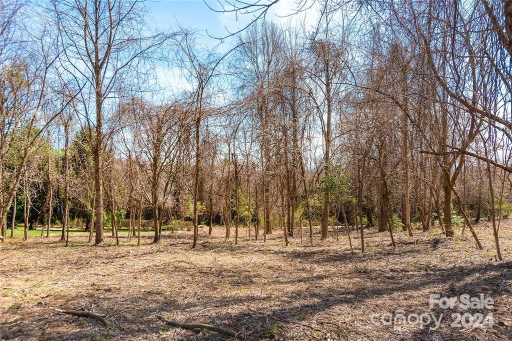 000 Berry Creek Drive Property Photo 6