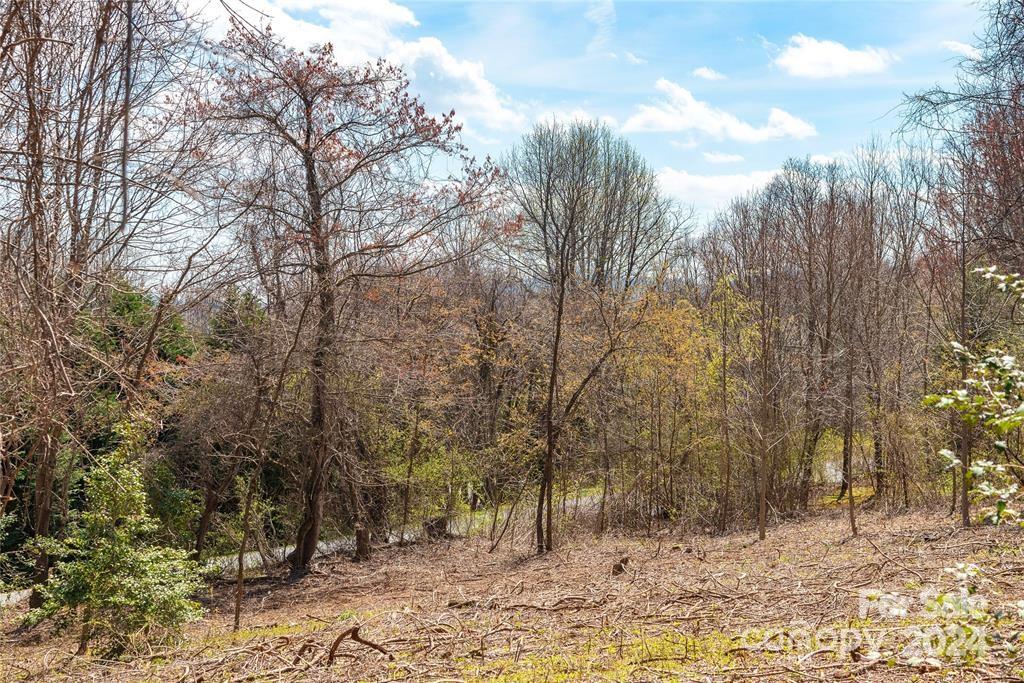 000 Berry Creek Drive Property Photo 7