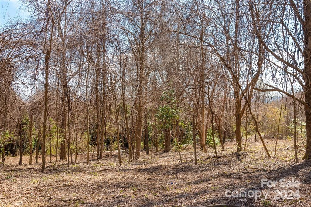 000 Berry Creek Drive Property Photo 8