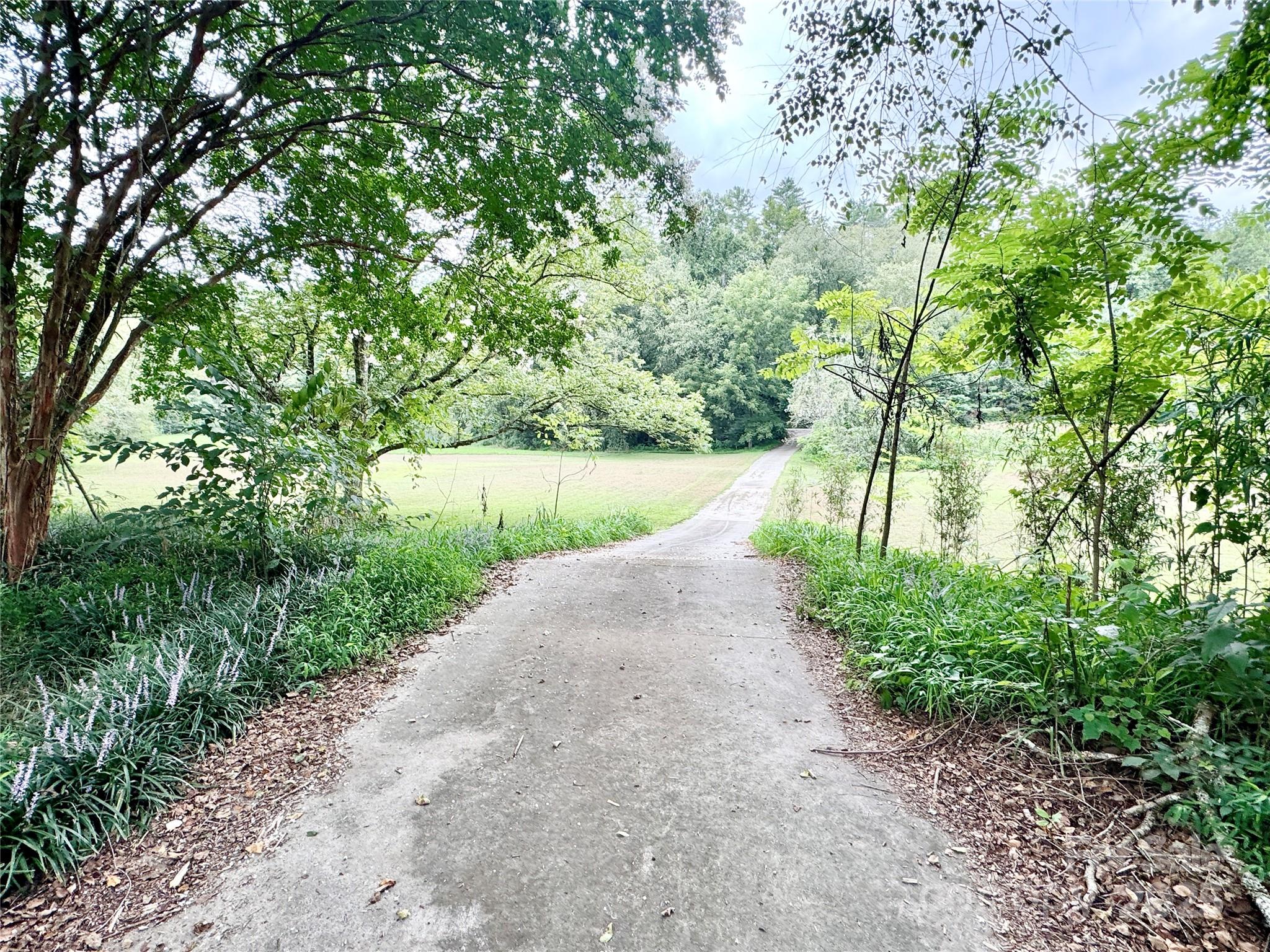 3050 Old Johns River Road Property Photo 10