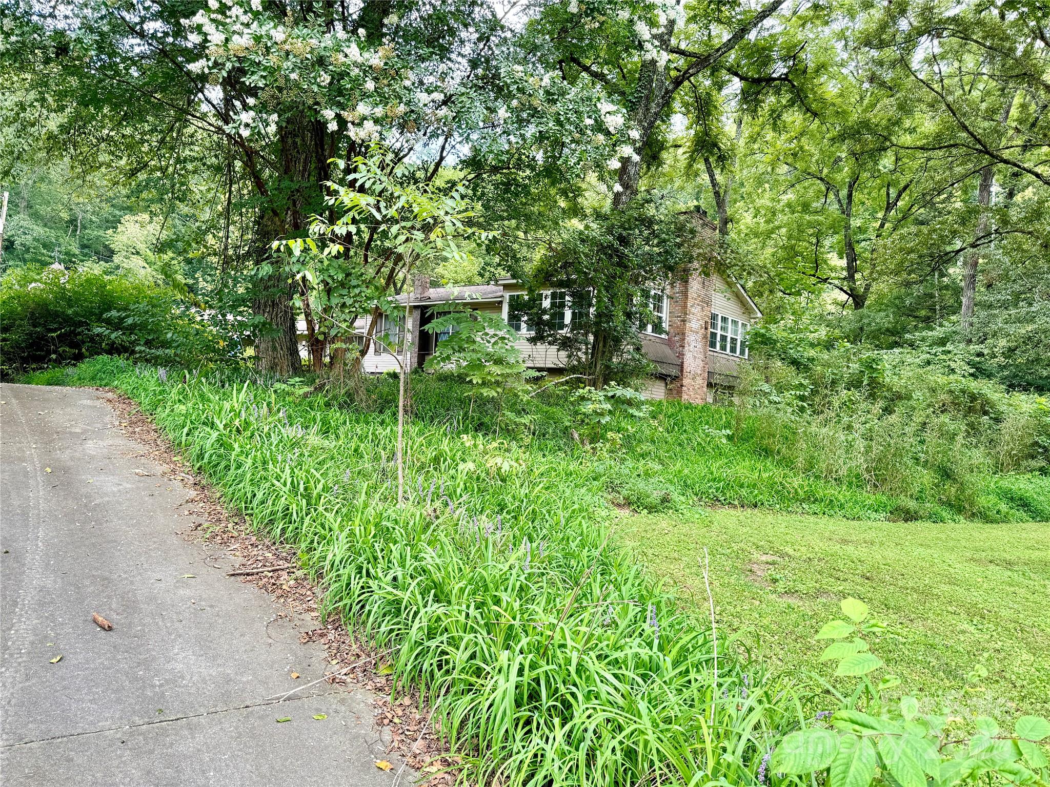 3050 Old Johns River Road Property Photo 11