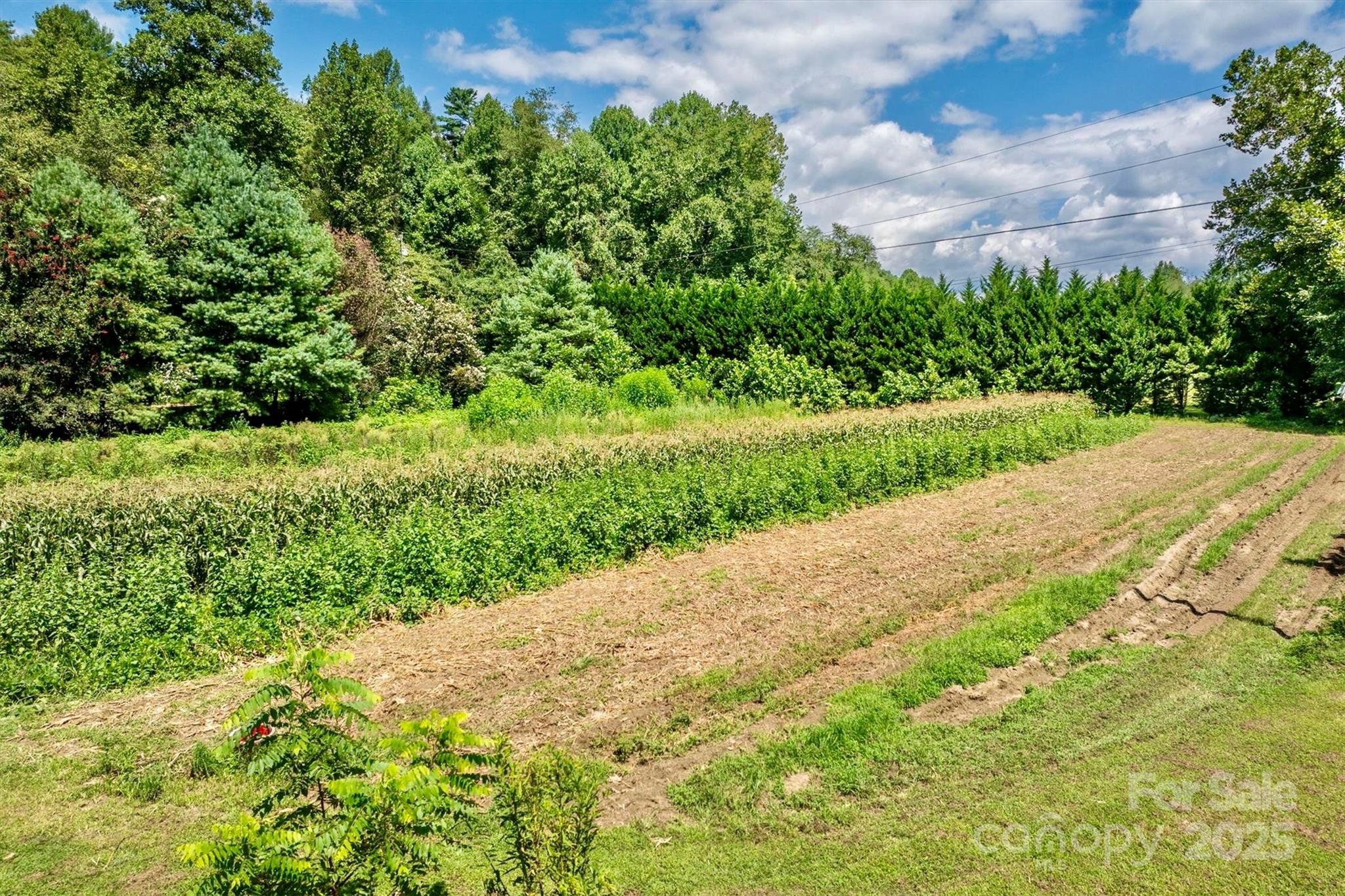 3050 Old Johns River Road Property Photo 12