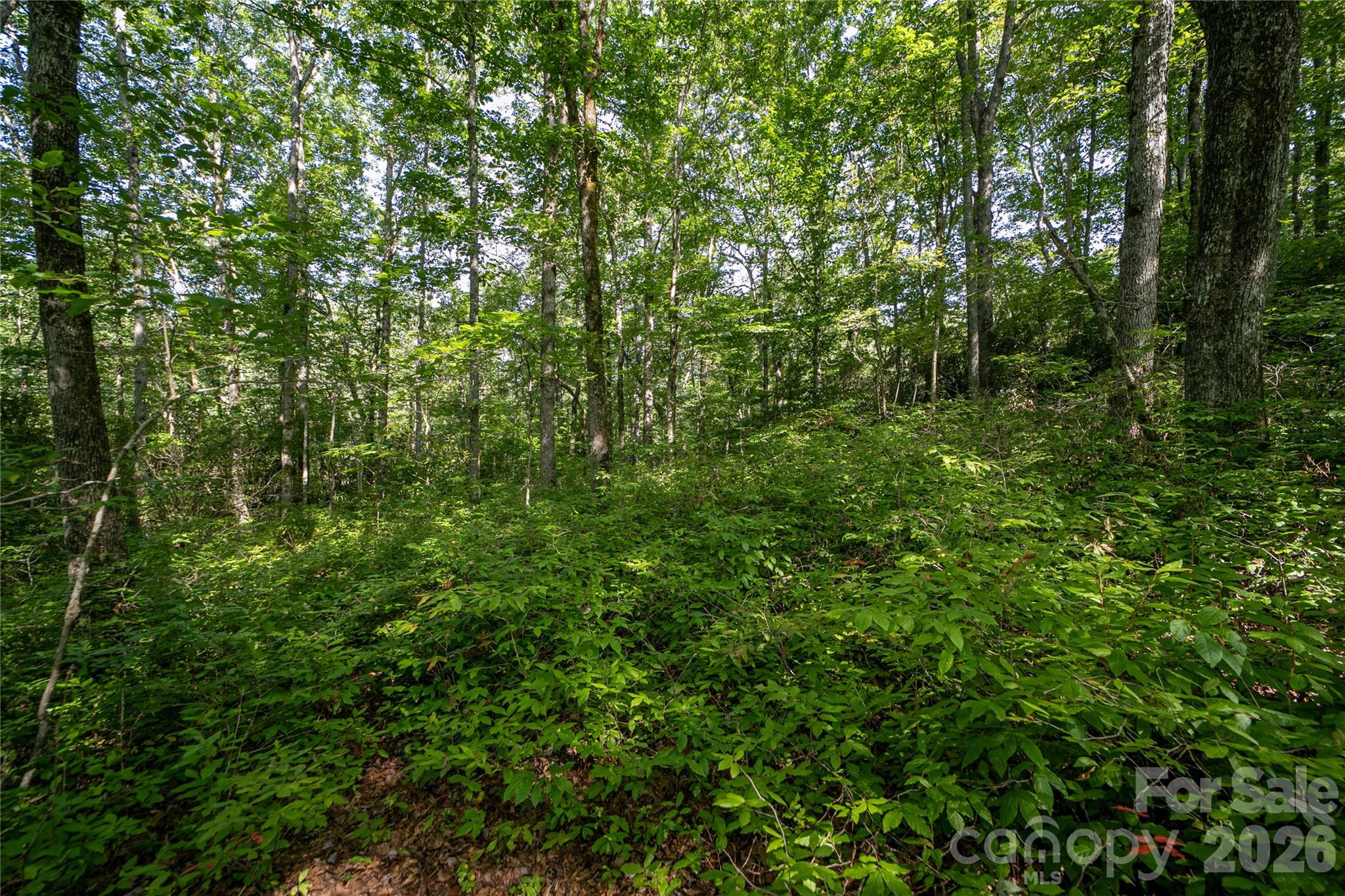 Lot 8 Sweetwater Ridge Road 8 Property Photo 4