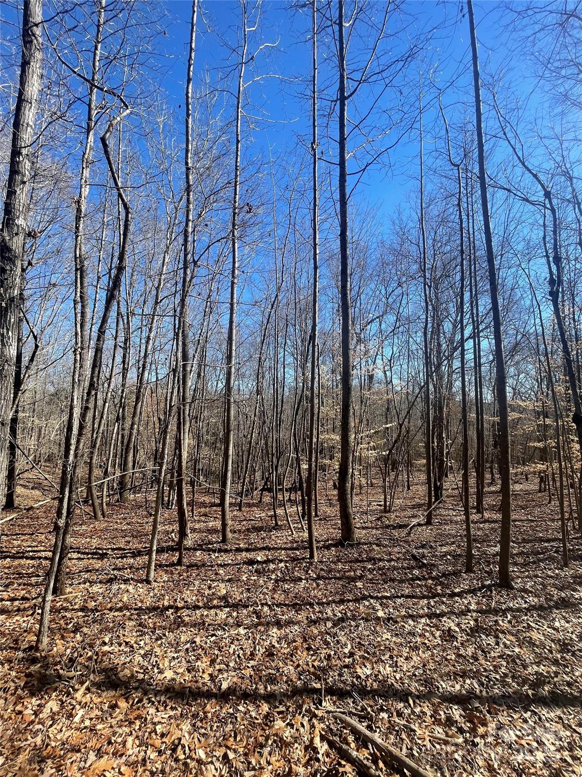 Lt 6 Flint Ridge Road 6 Property Photo 19