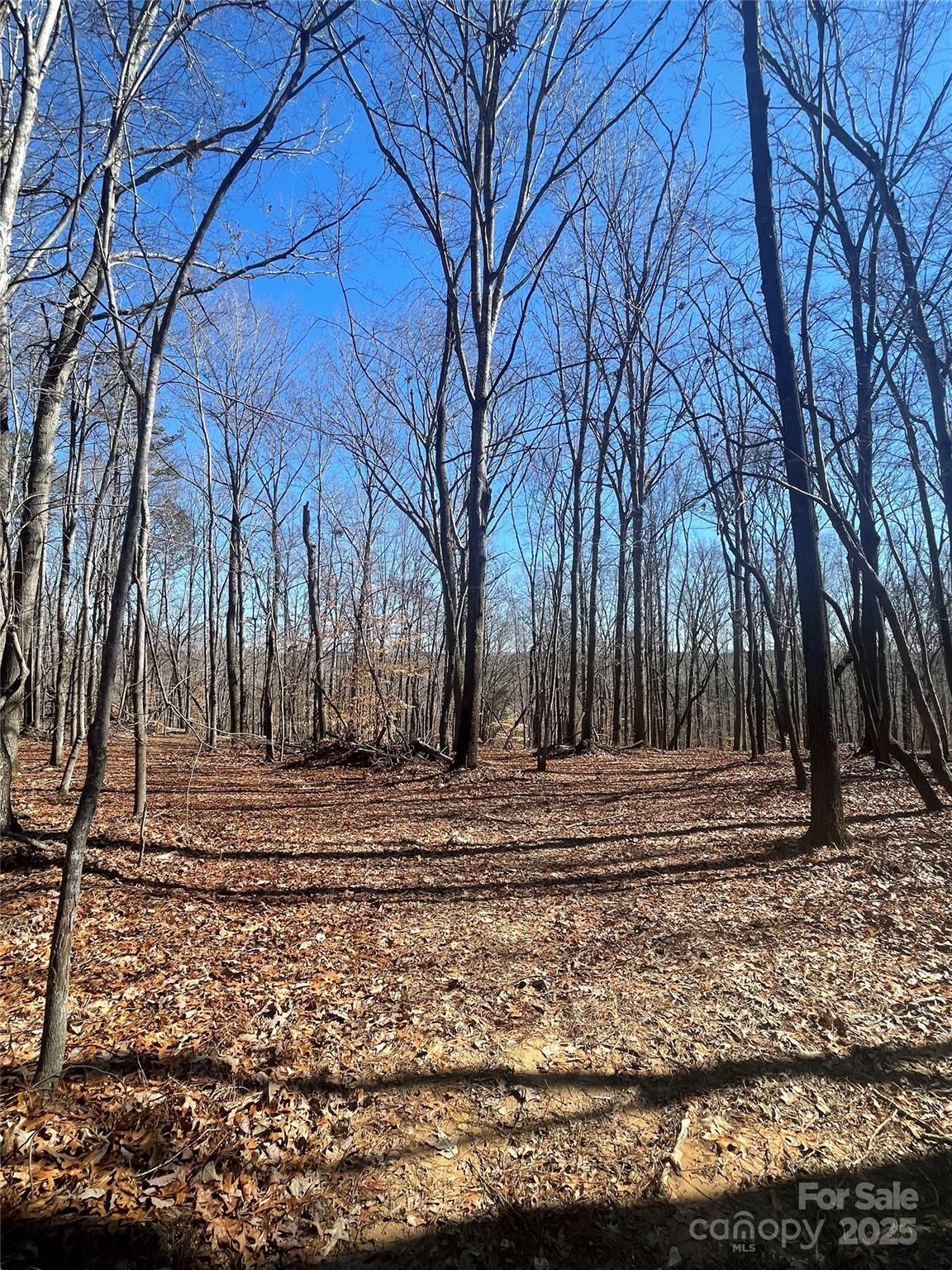 Lt 6 Flint Ridge Road 6 Property Photo 22