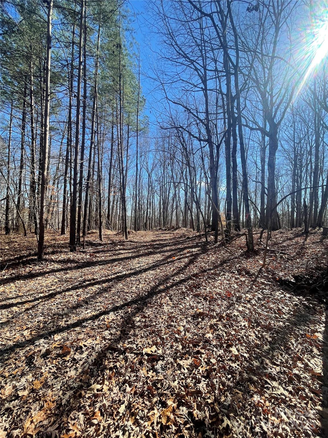 Lt 6 Flint Ridge Road 6 Property Photo 23