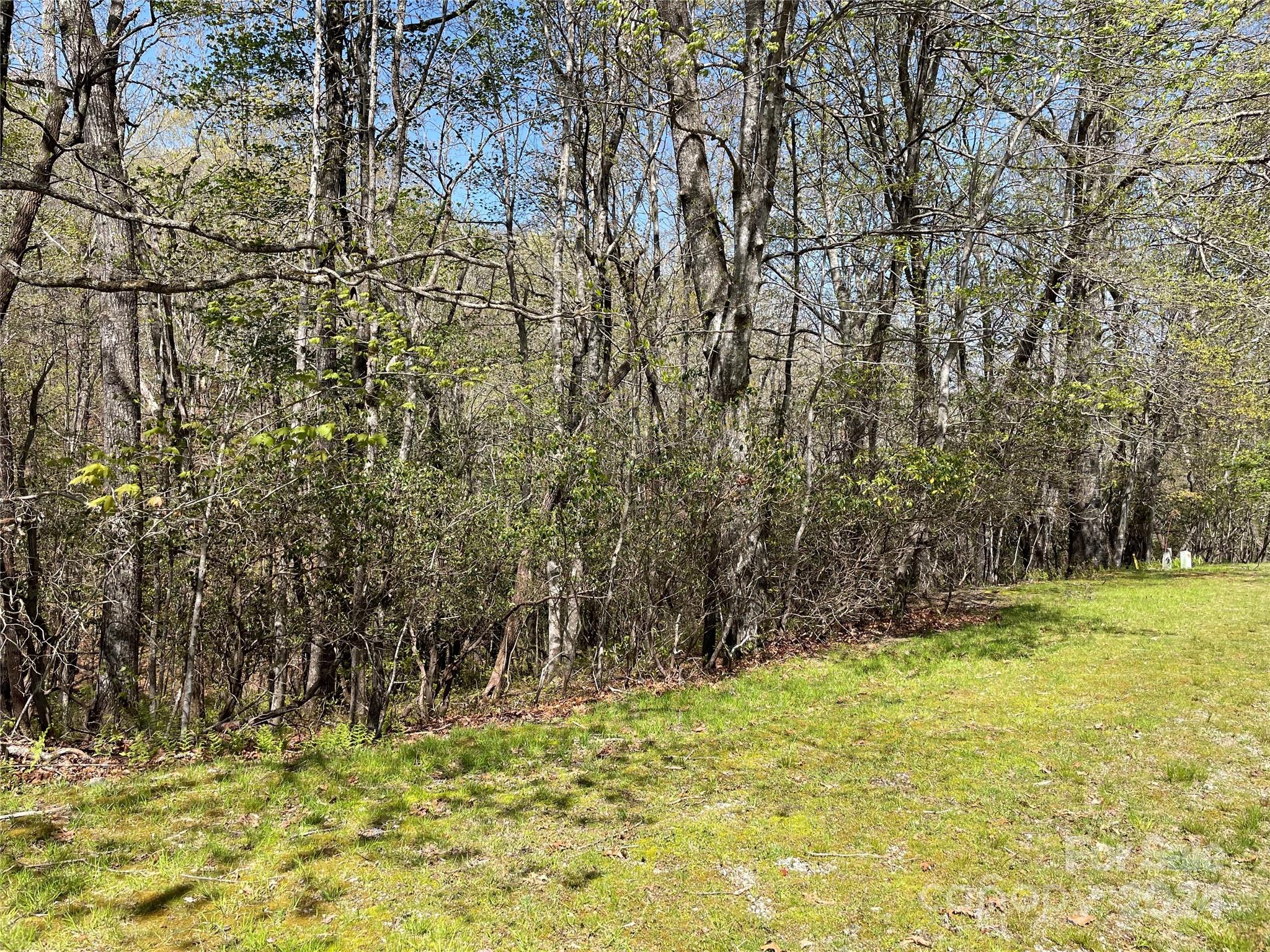 Tbd Dudi Court Property Photo 4