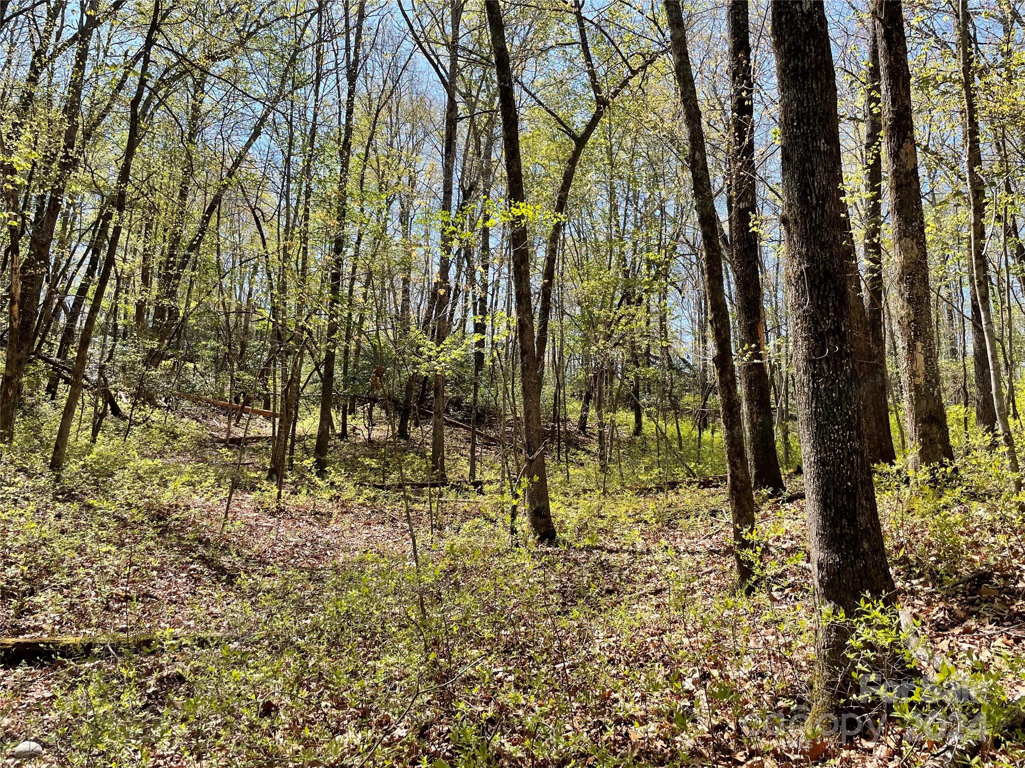 Tbd Dudi Court Property Photo 5