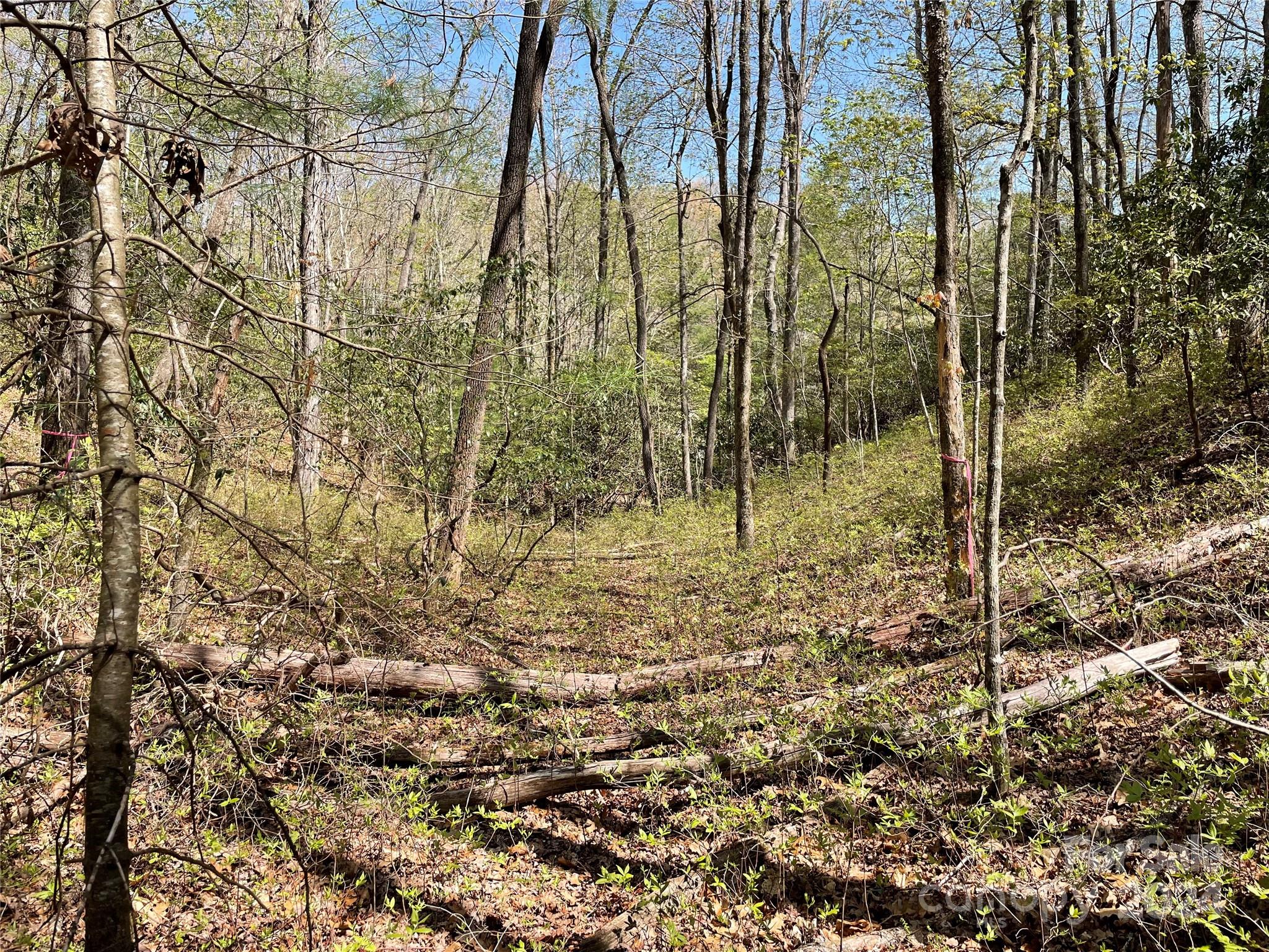 Tbd Dudi Court Property Photo 6