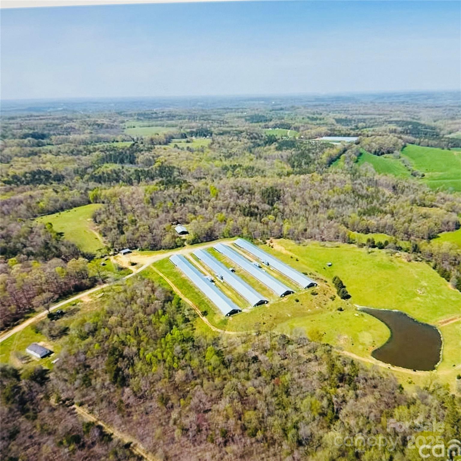 245 Ivy Road Property Photo 7