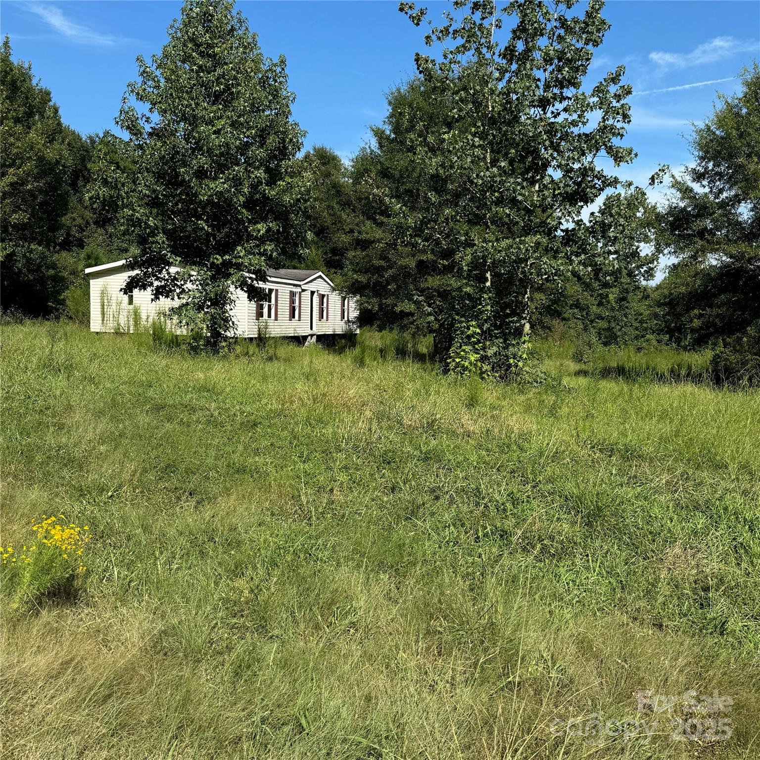 245 Ivy Road Property Photo 8