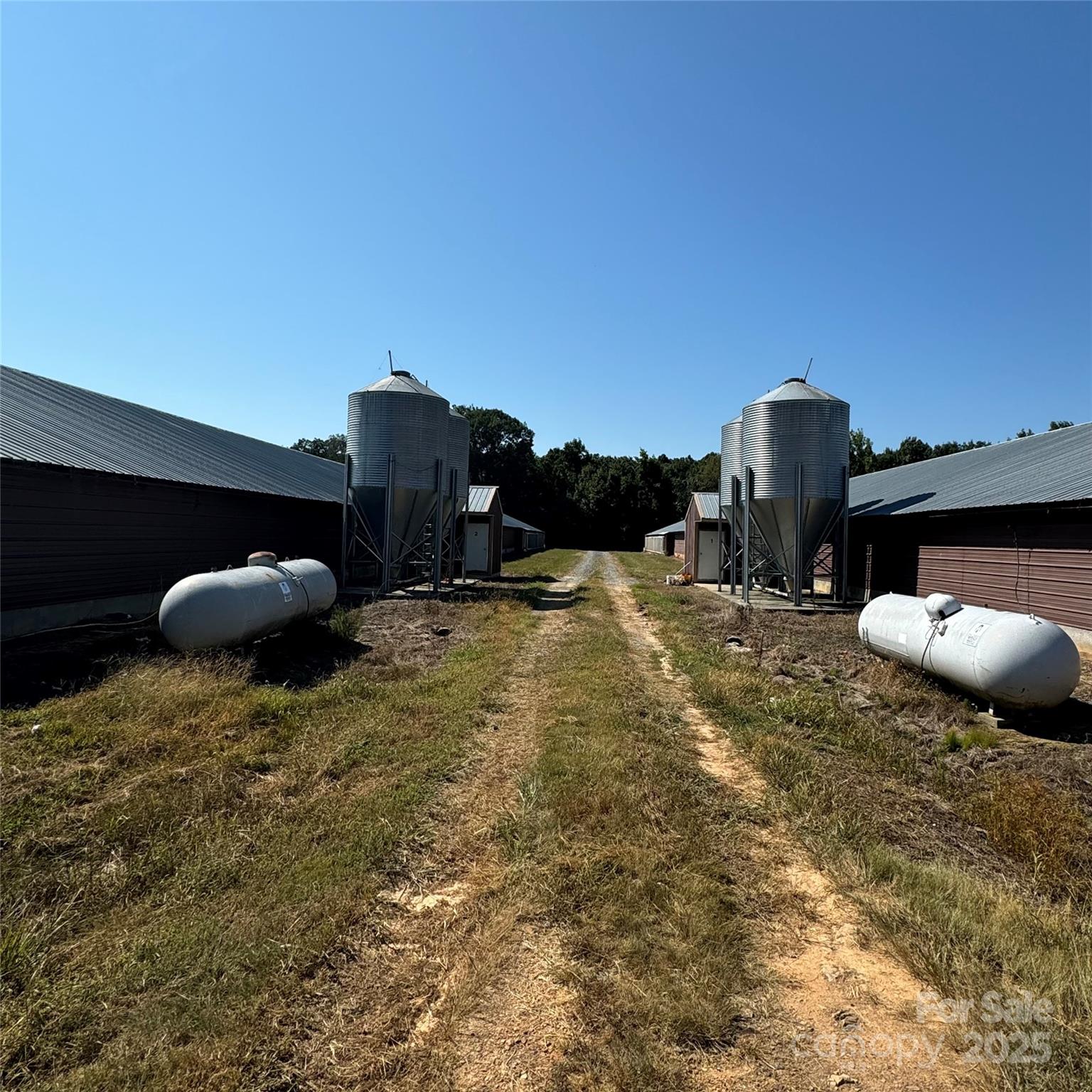 245 Ivy Road Property Photo 18
