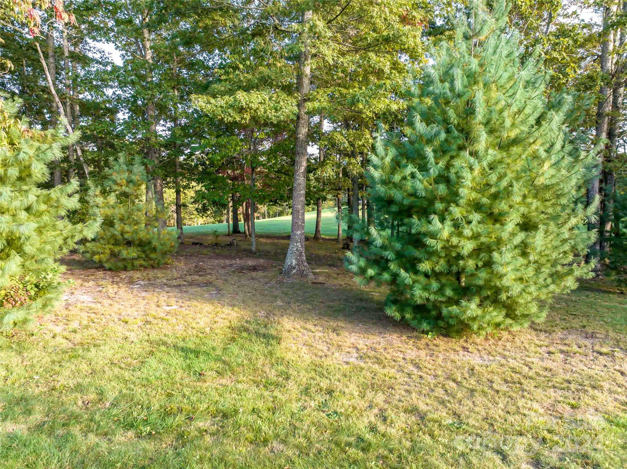 337 Chukar Way Lot 21 Property Photo 4